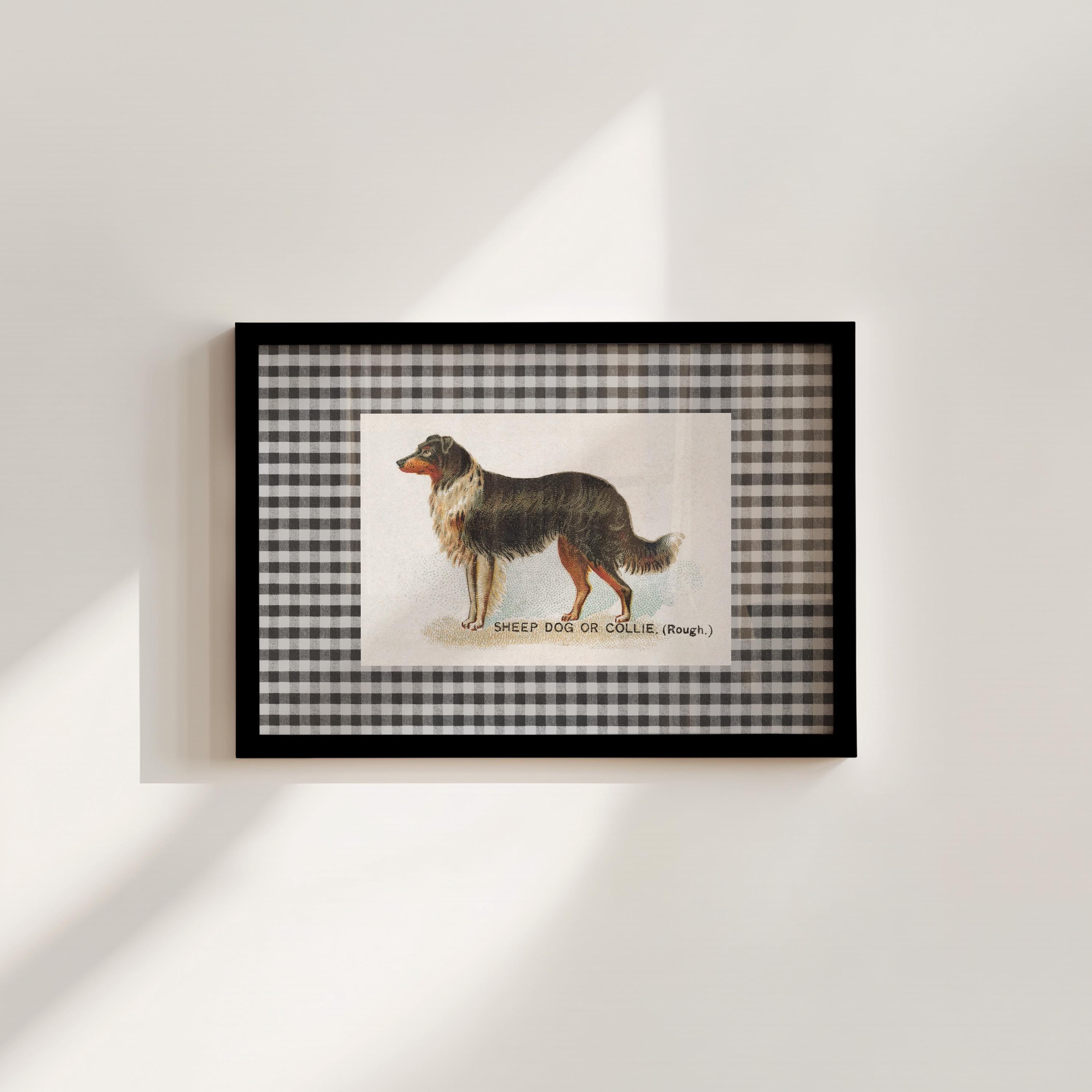 Sheep Dog Vintage Digital Art Print