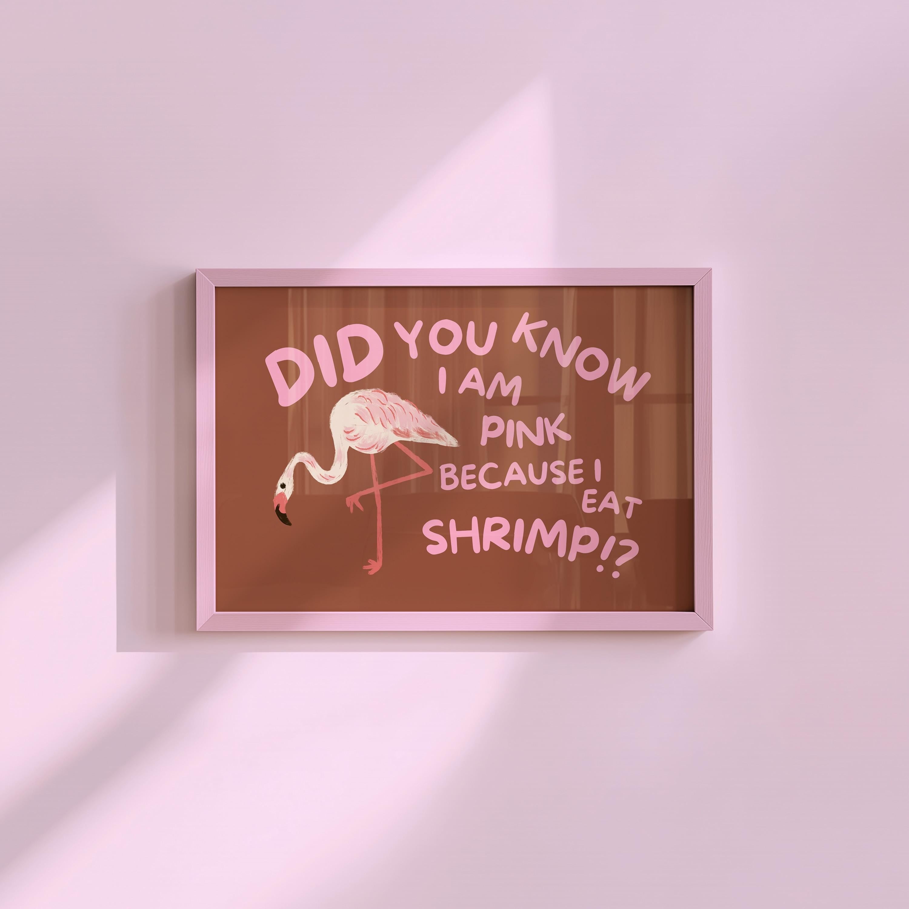 Eat Shrimp Flamingo Digital Art Print