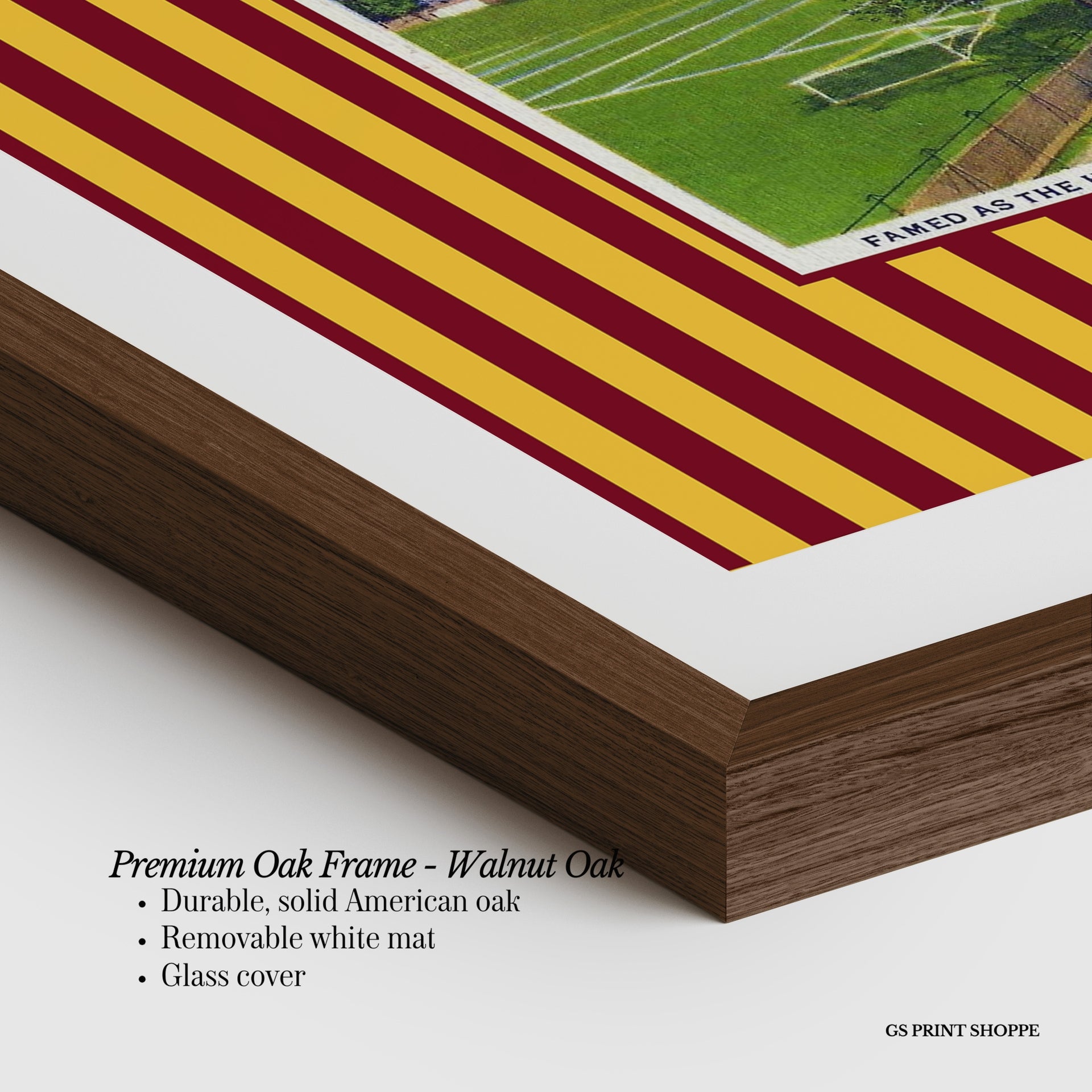 University of Minnesota Horizontal Art Print