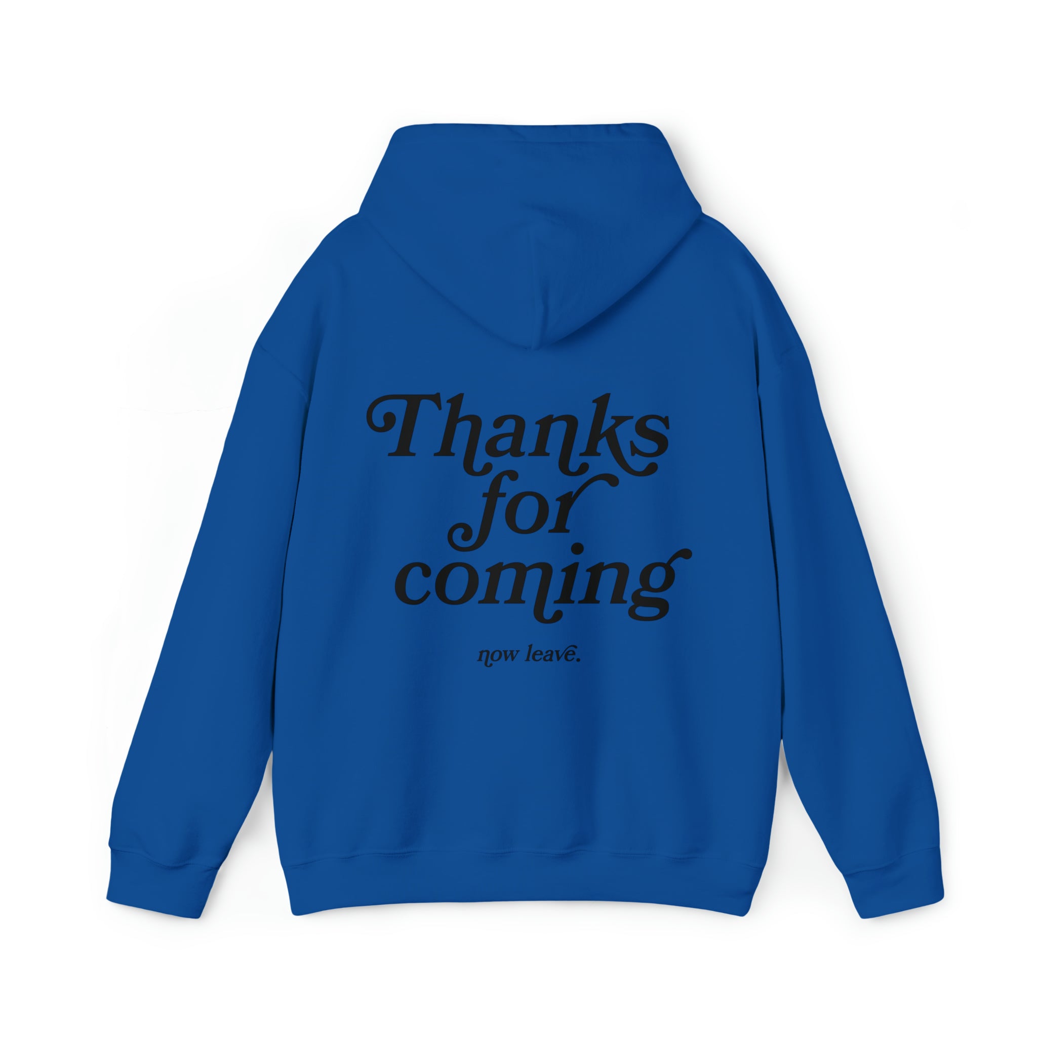 Thanks for Coming Hoodie Sweatshirt