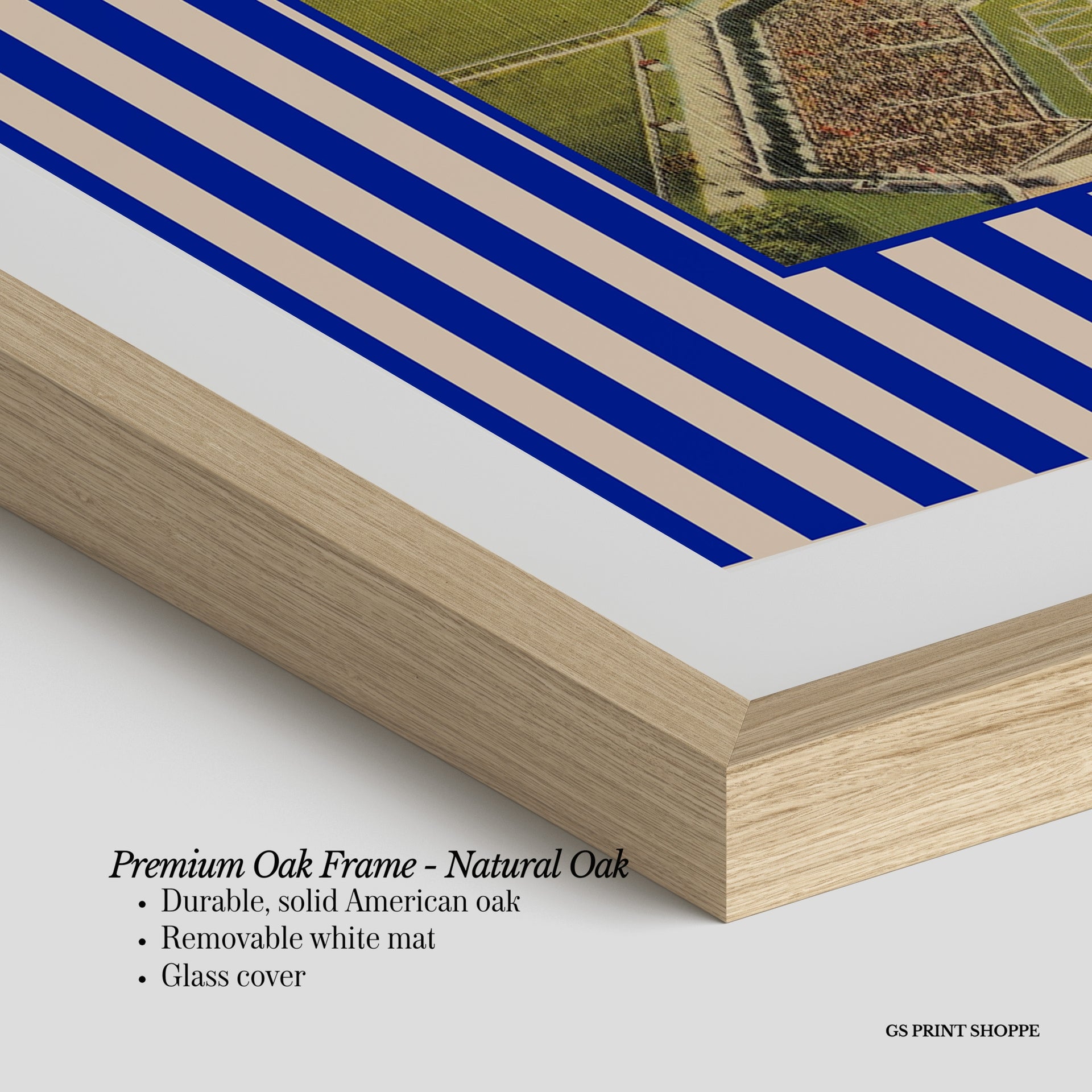 University of Florida Horizontal Art Print