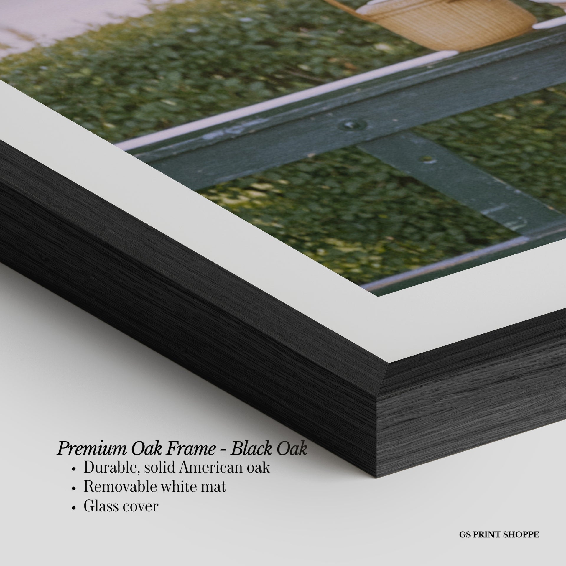 Hedge Tennis Peek Horizontal Art Print