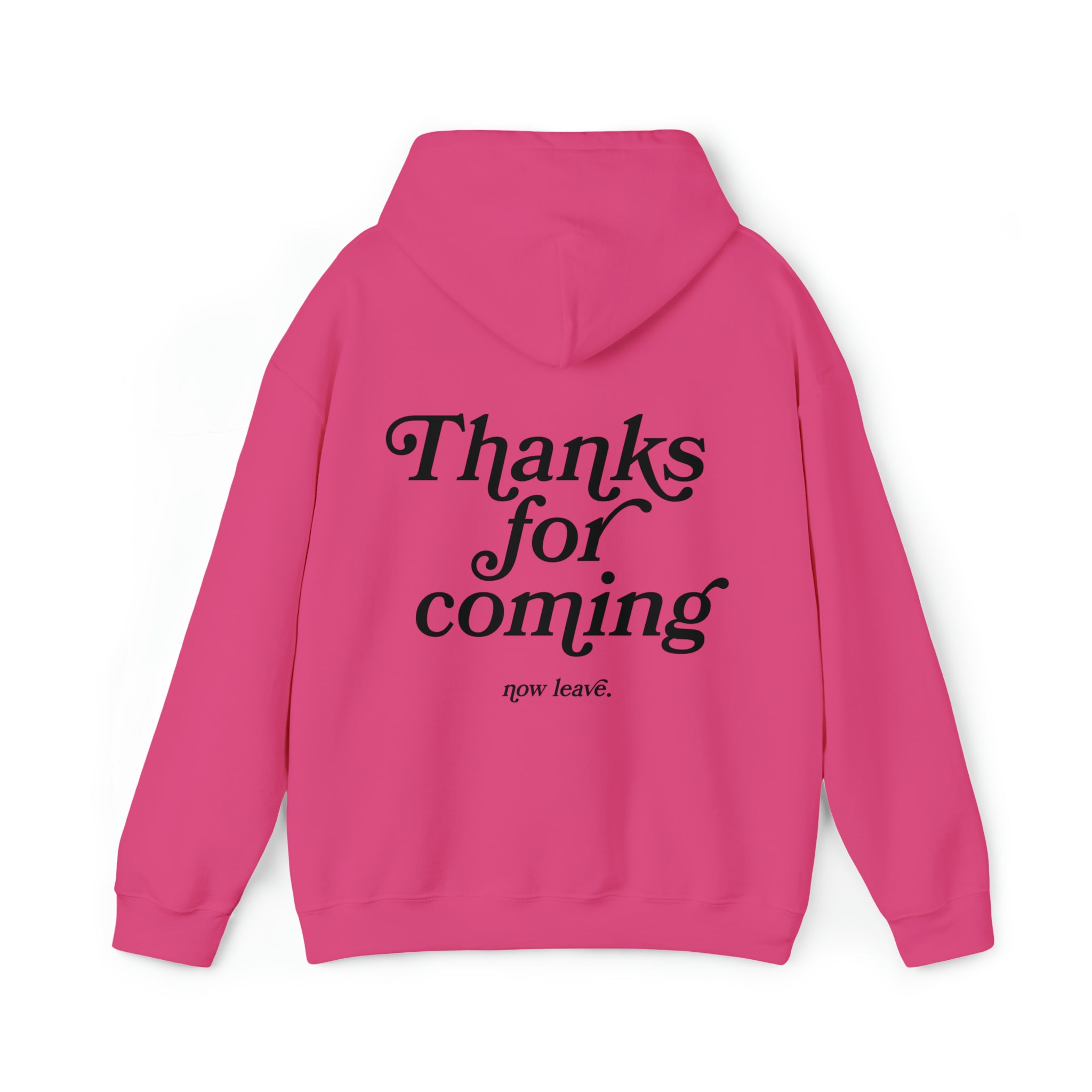 Thanks for Coming Hoodie Sweatshirt