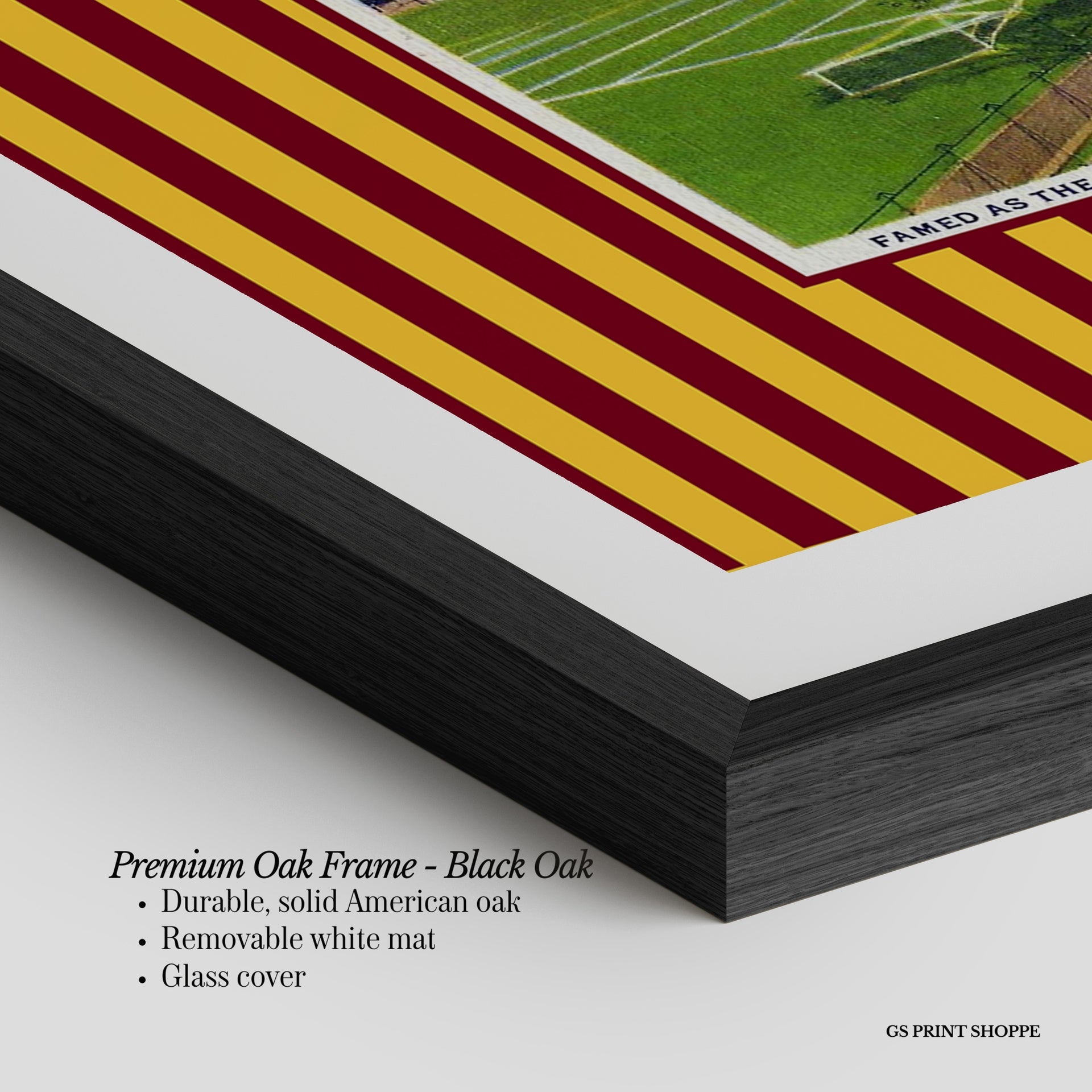 University of Minnesota Horizontal Art Print