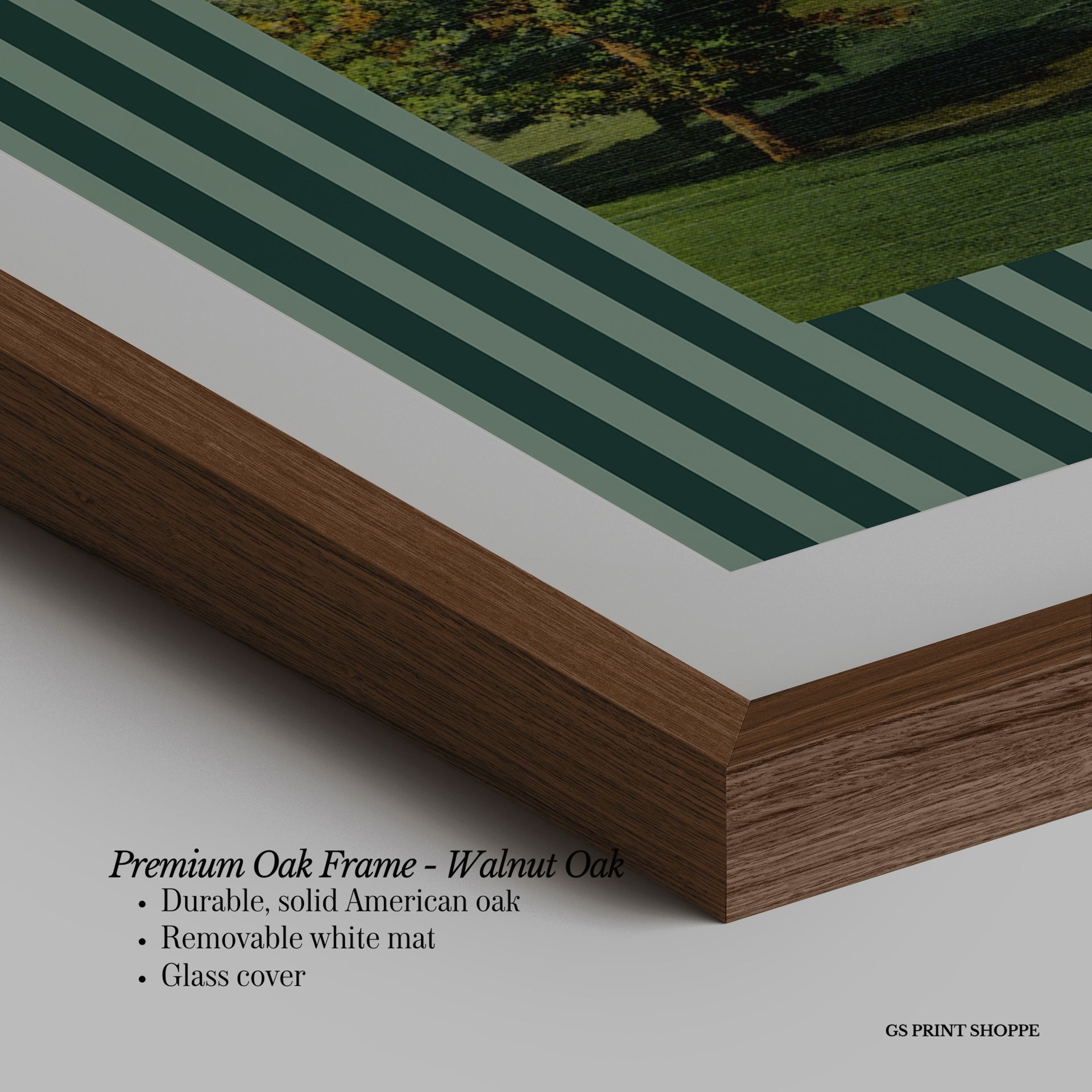 Biltmore Golf Course Horizontal Art Print