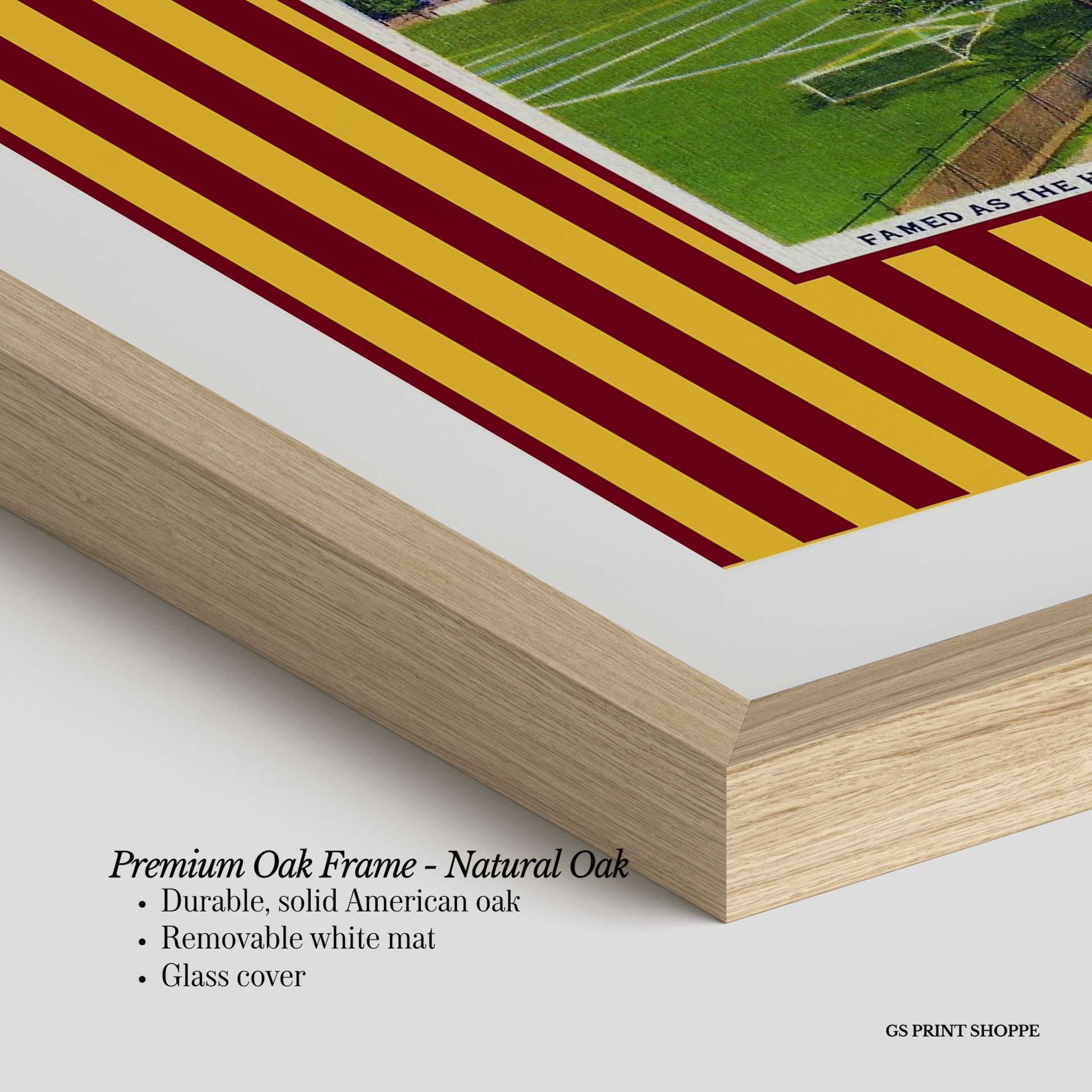 University of Minnesota Horizontal Art Print