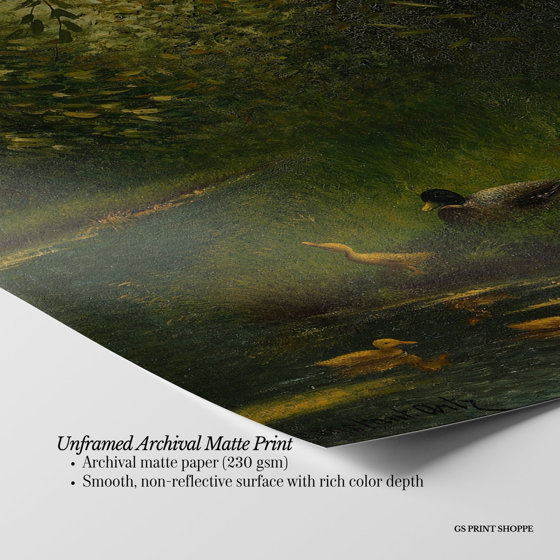 Ducks in the Pond Horizontal Art Print