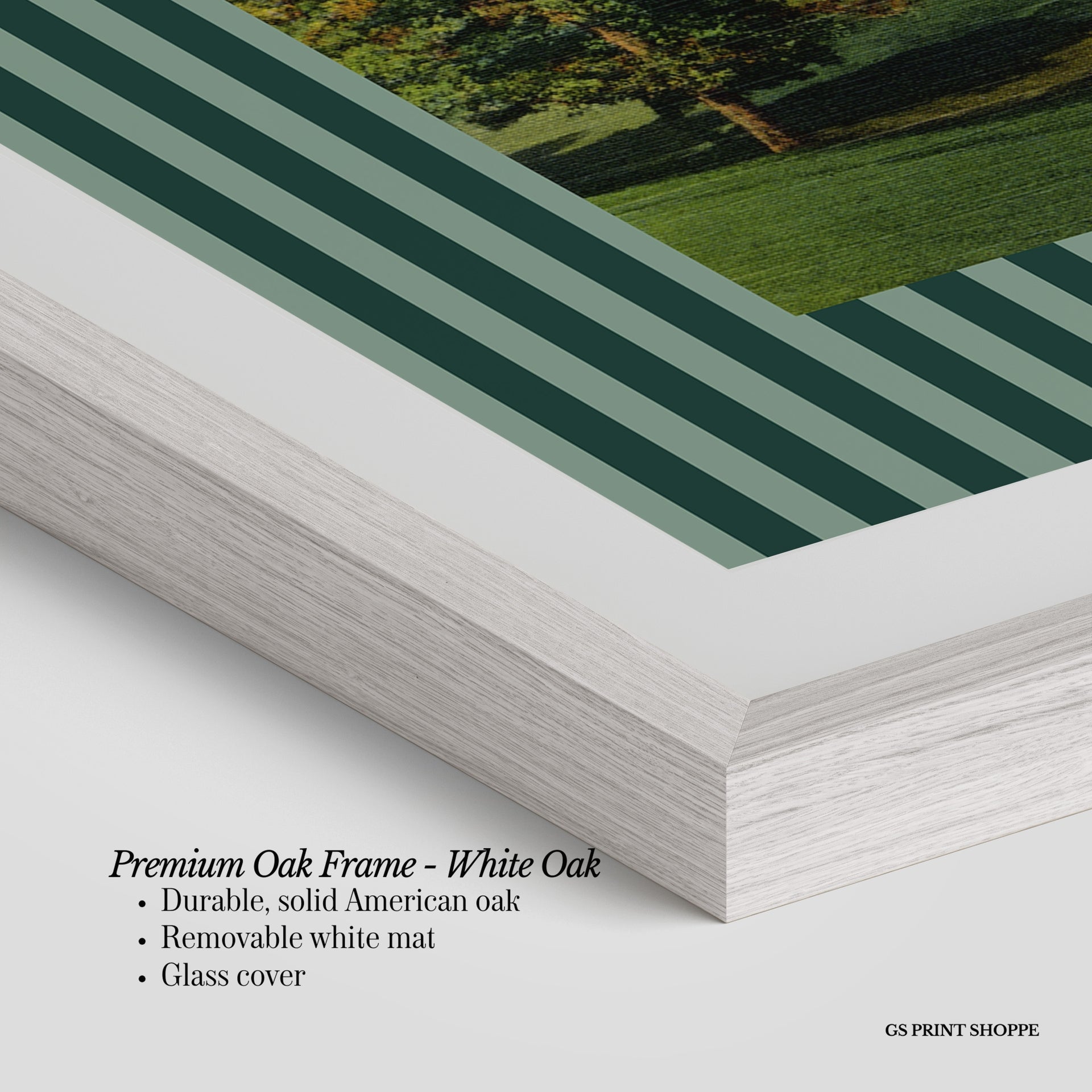 Biltmore Golf Course Horizontal Art Print
