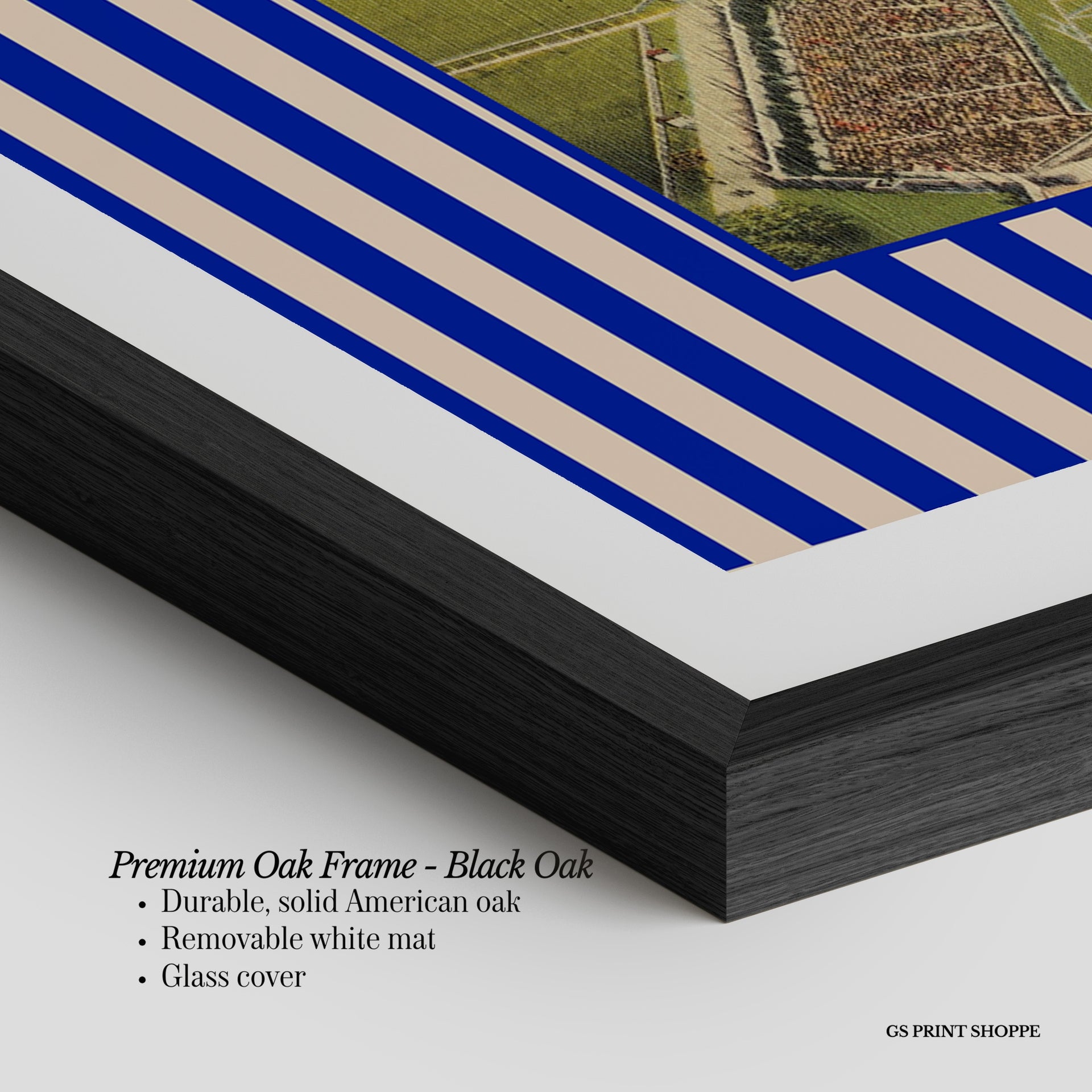 University of Florida Horizontal Art Print