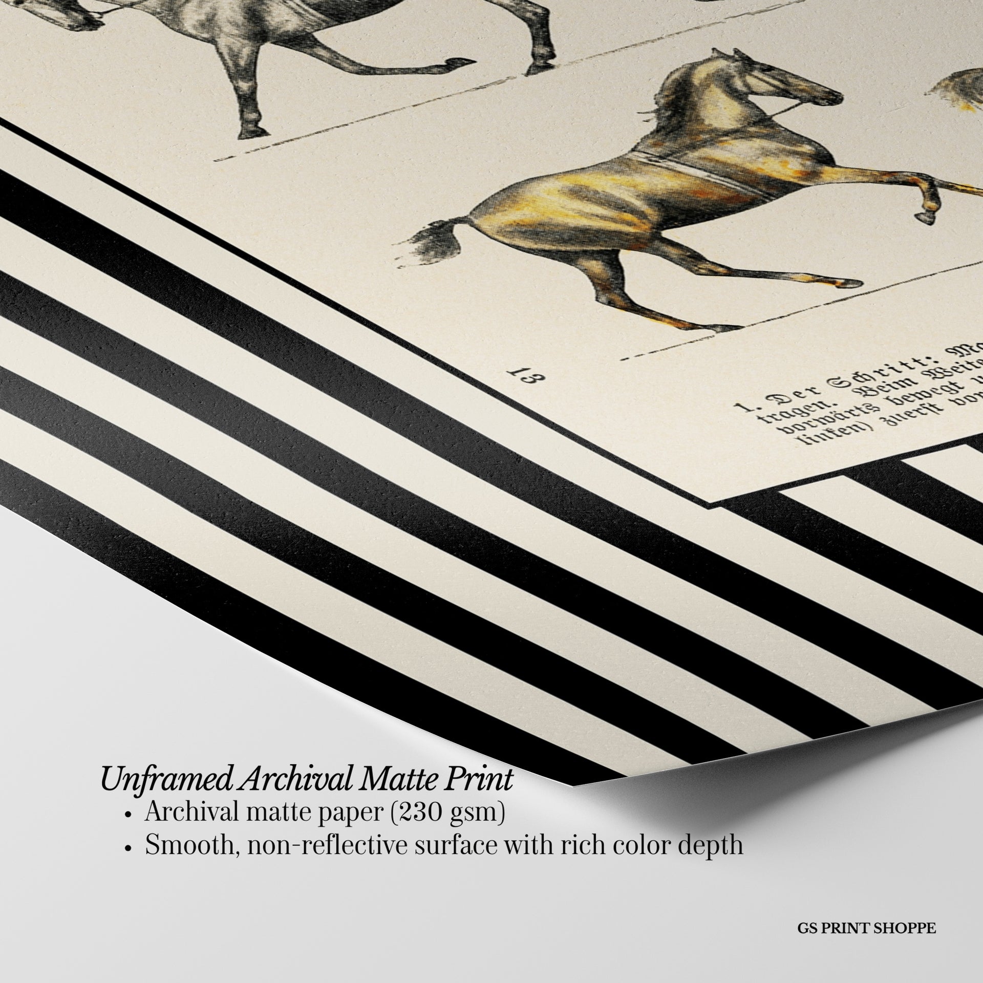 Black White Horses Horizontal Art Print