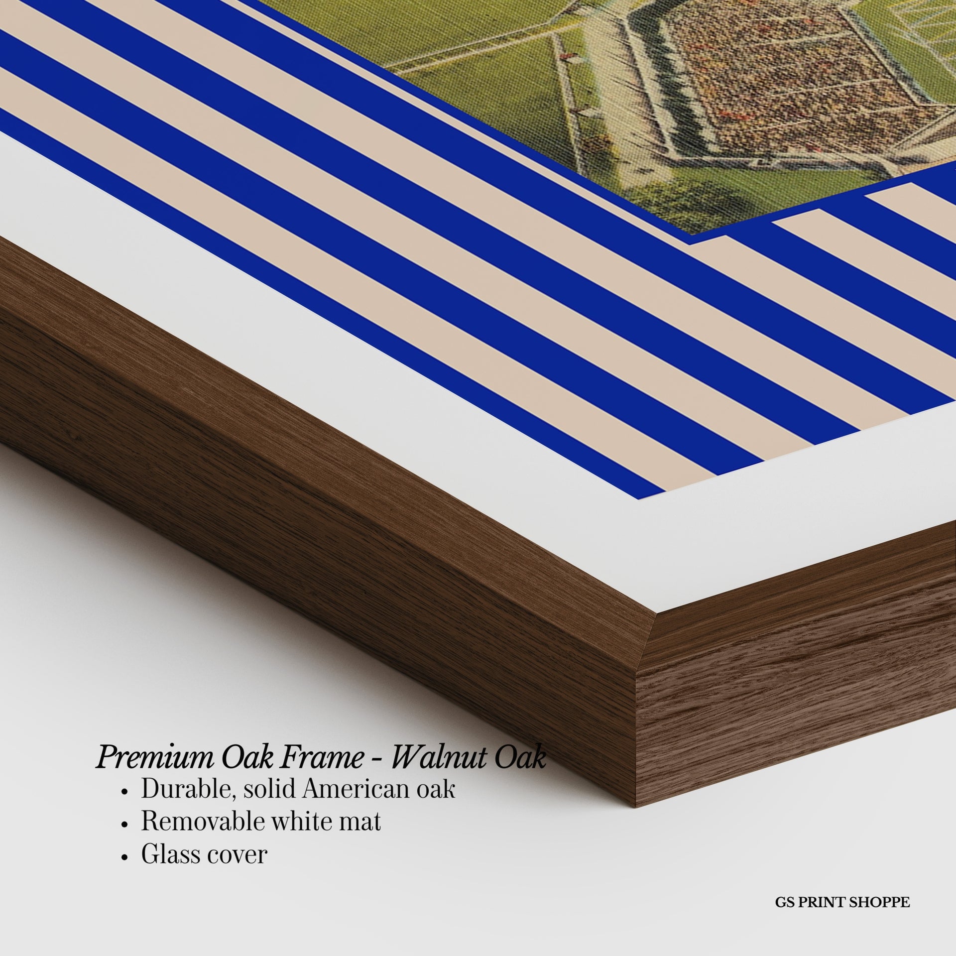 University of Florida Horizontal Art Print