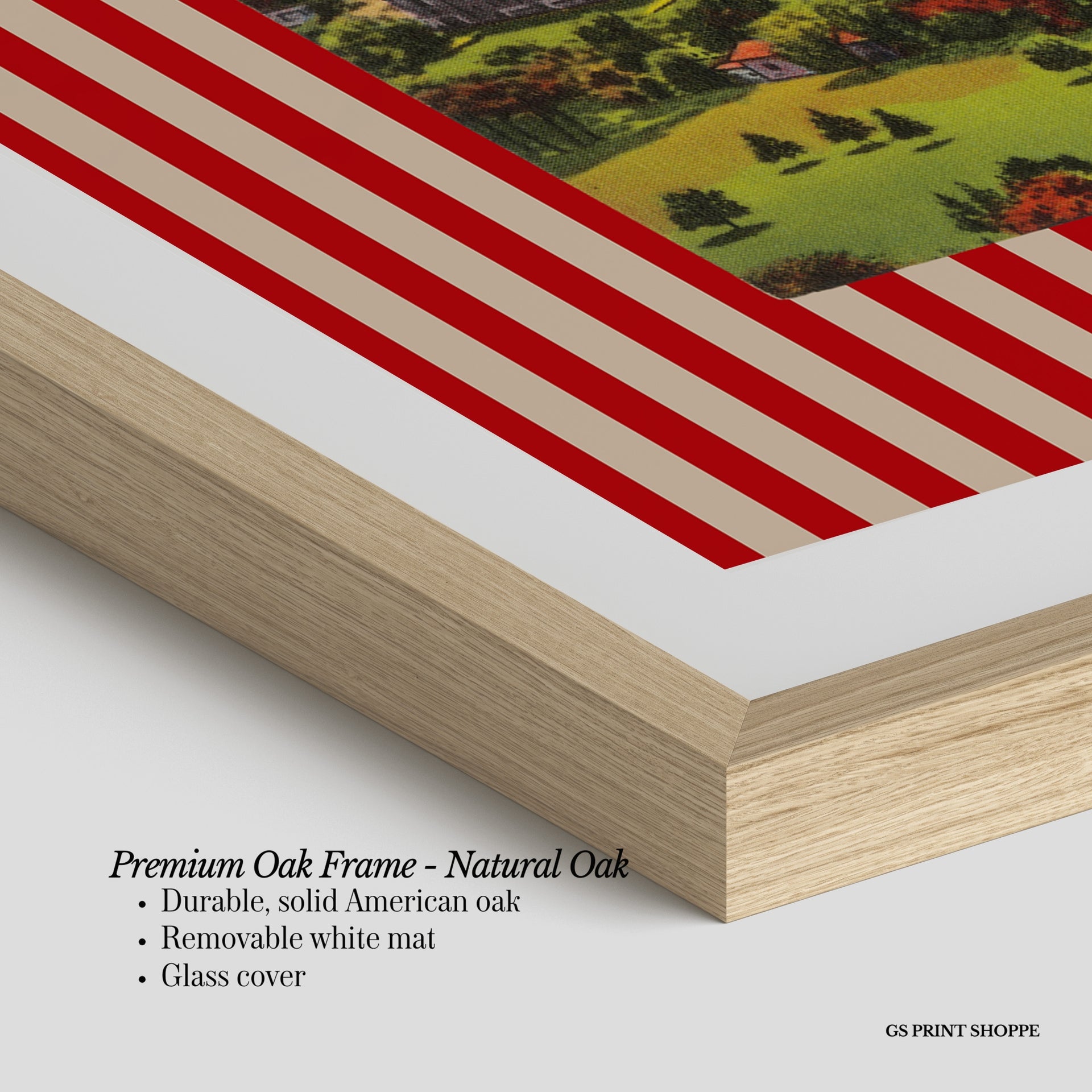 Madison Stadium Horizontal Art Print