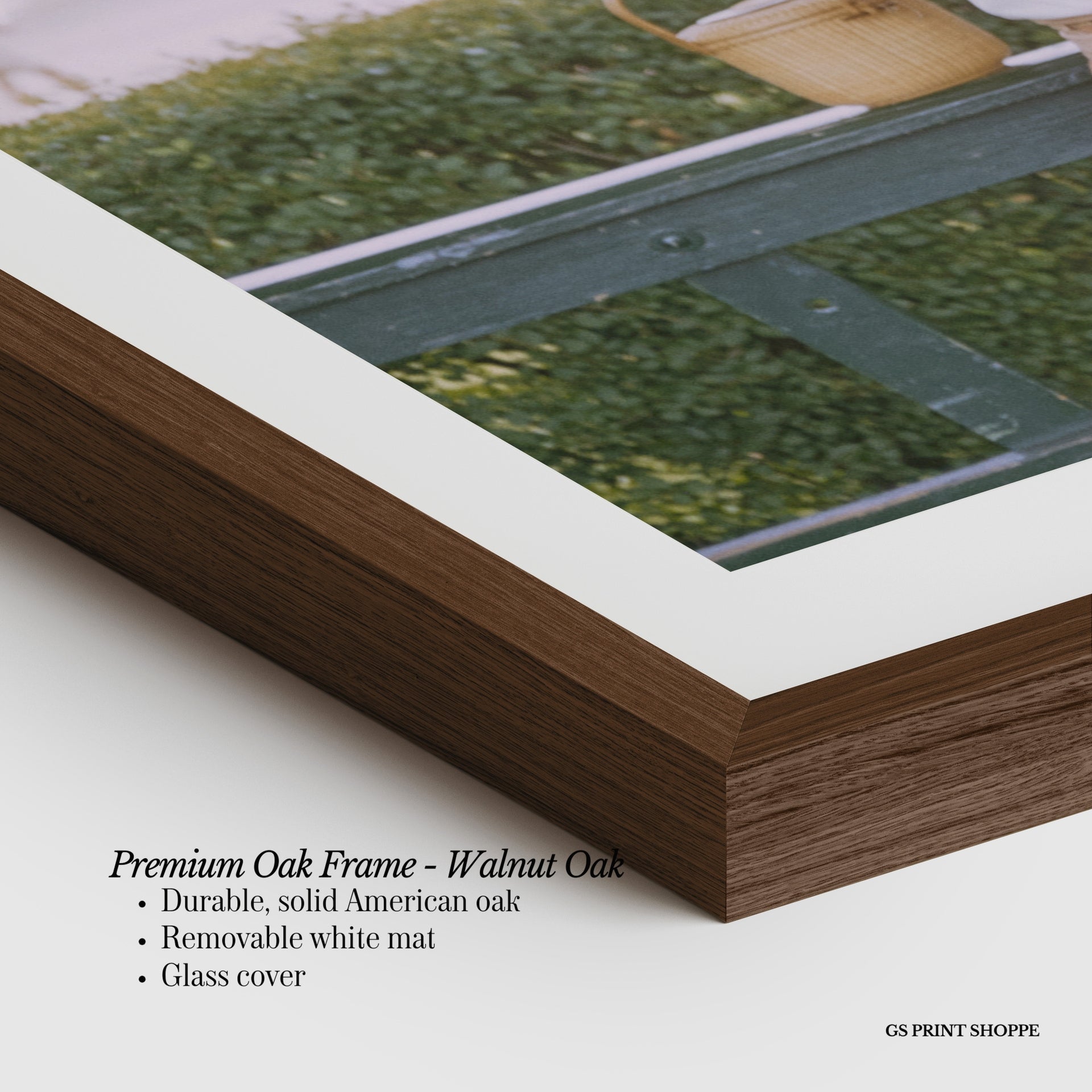 Hedge Tennis Peek Horizontal Art Print