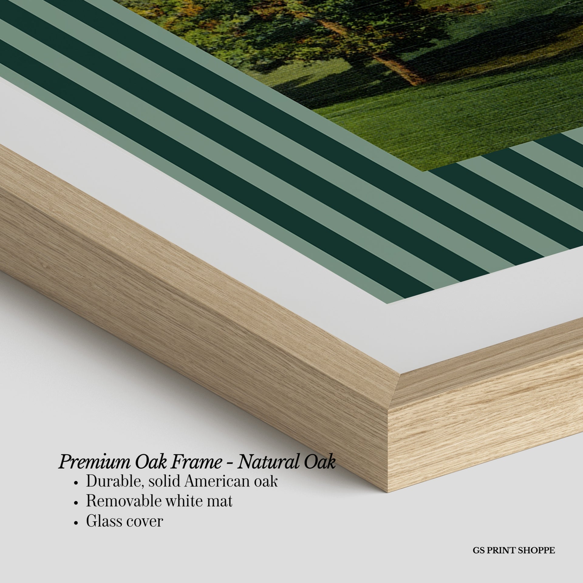 Biltmore Golf Course Horizontal Art Print