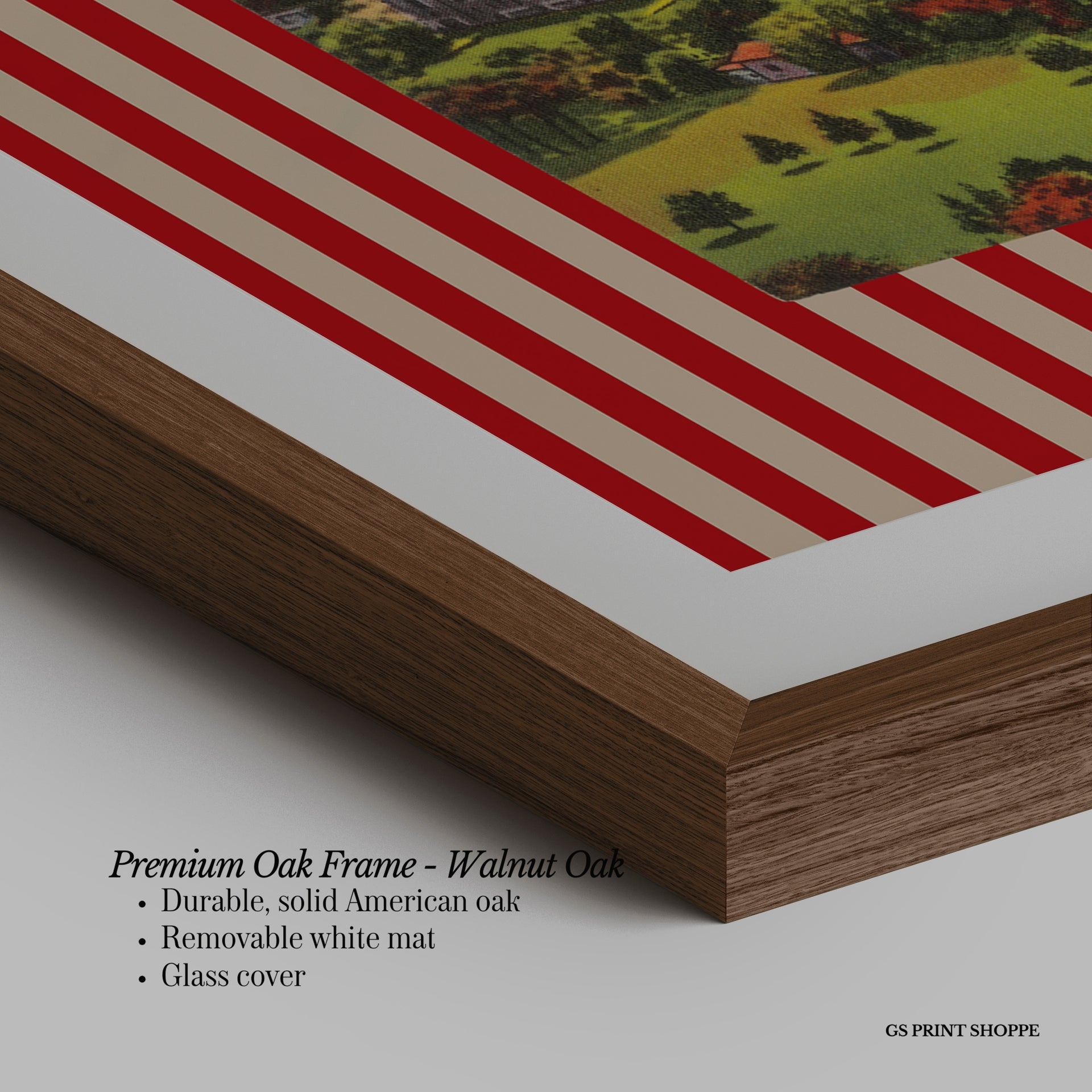 Madison Stadium Horizontal Art Print