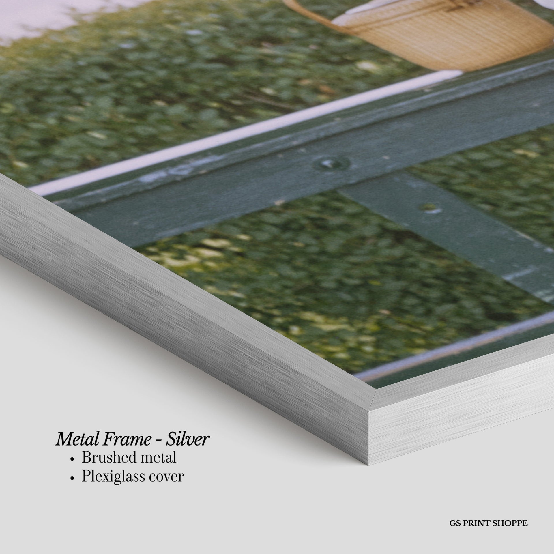 Hedge Tennis Peek Horizontal Art Print