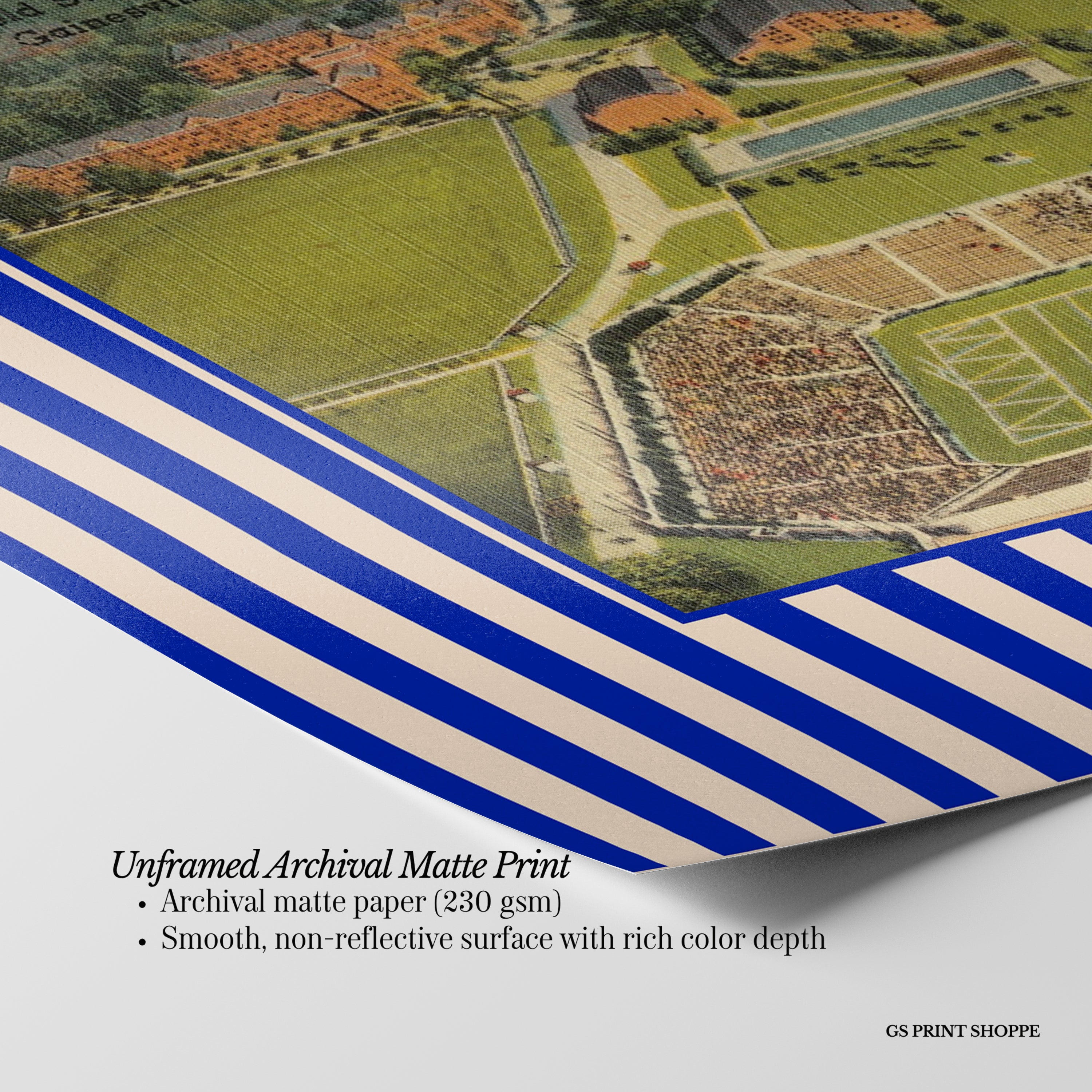 University of Florida Horizontal Art Print