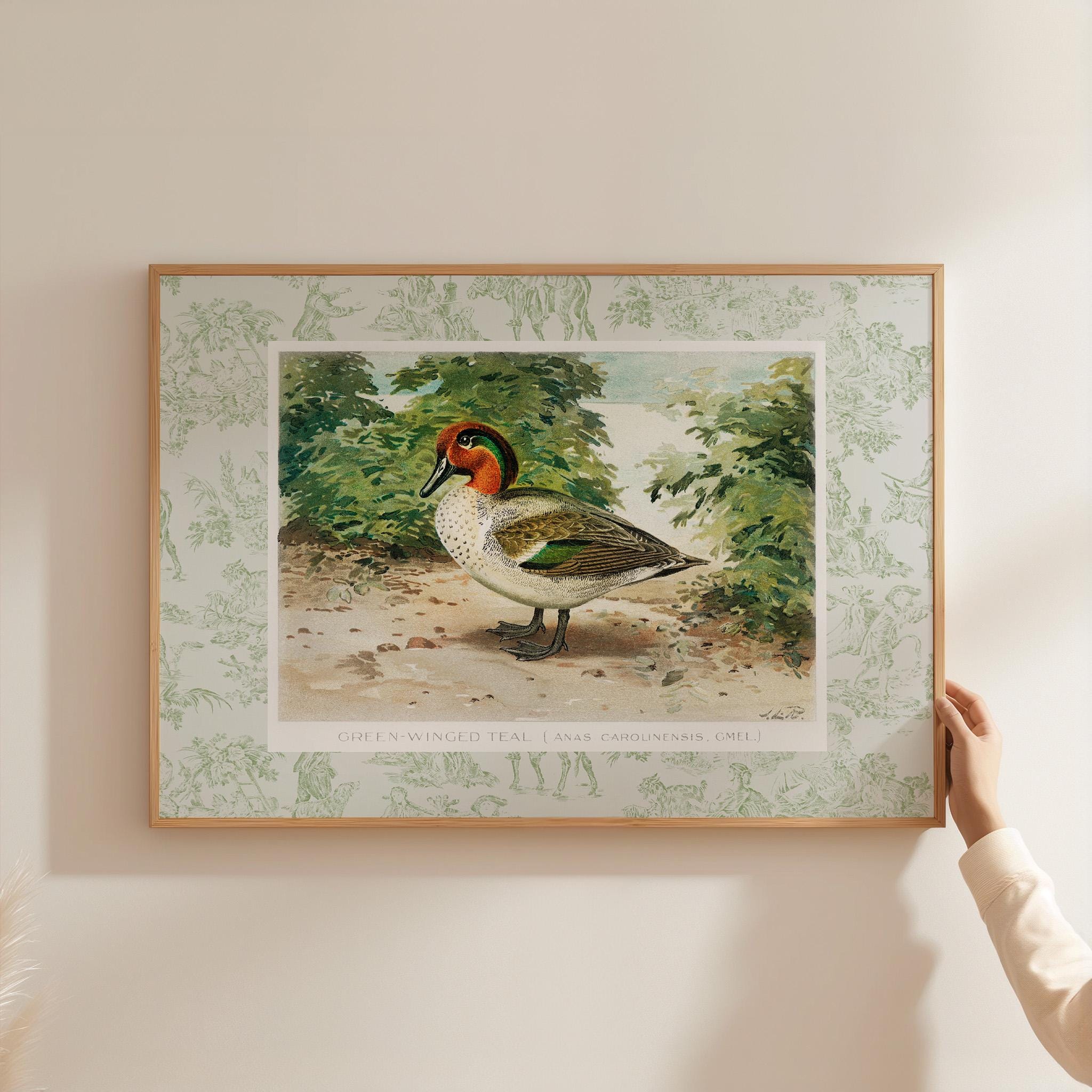 Green duck art, vintage animal print, whimsical vintage aesthetic, coquette nursery decor, Boys room duck decor, kids room art print