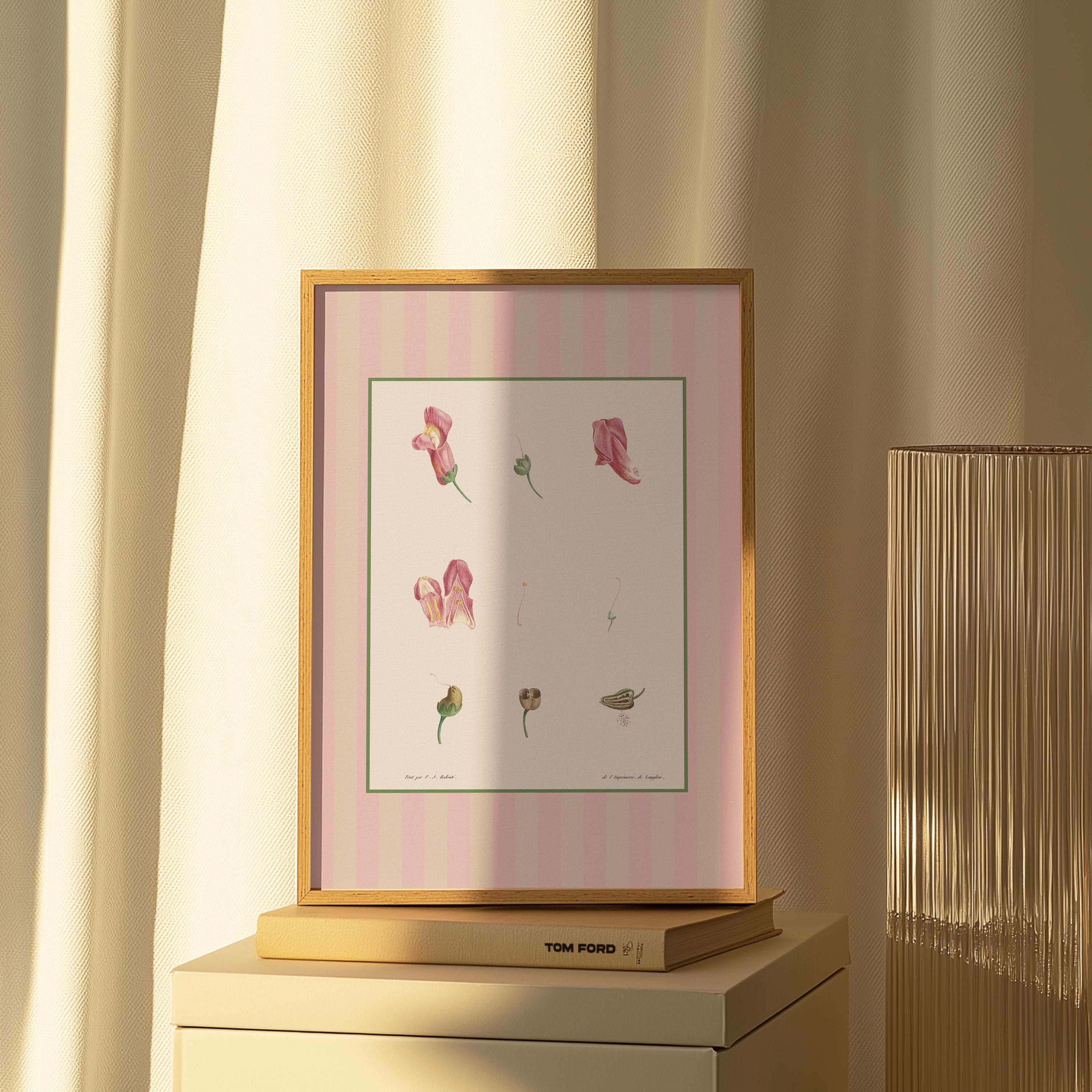 Vintage Botanical Prints, Striped Floral Poster, Botanical prints, Antique Botanical Prints, Vintage Flower Art, Nursery Prints, Pink Prints