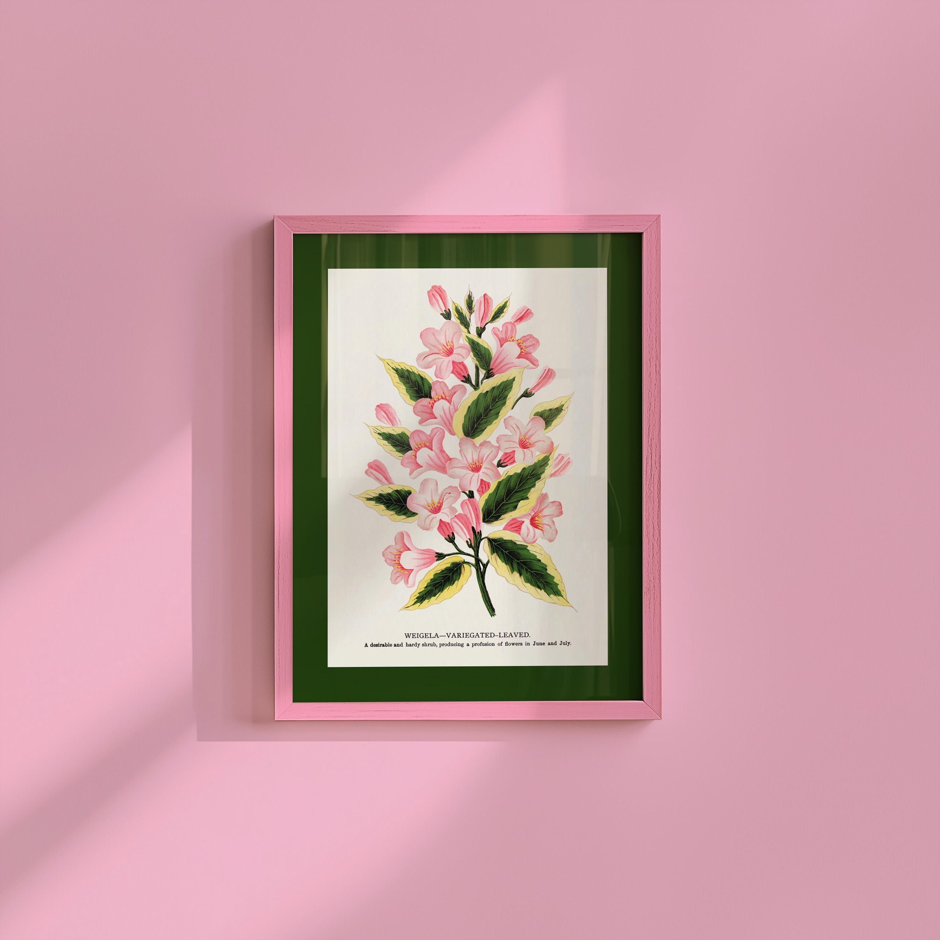 Floral Art, Vintage Floral Decor, Colorful Art Print, Pink and Green Art, GS Print Shoppe, Pink Flower Art Print, Retro Vintage Art