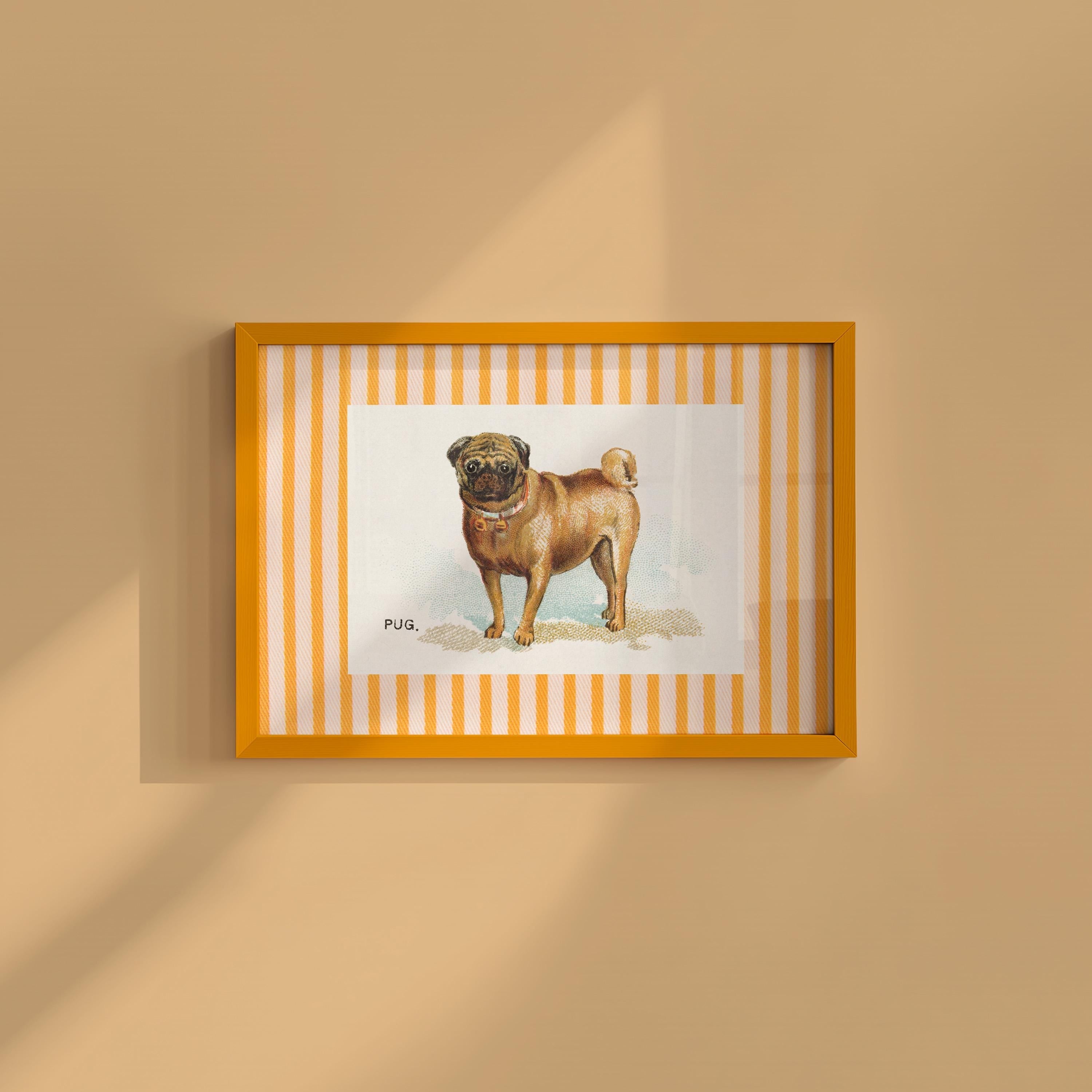 Vintage Pug Digital Art Print