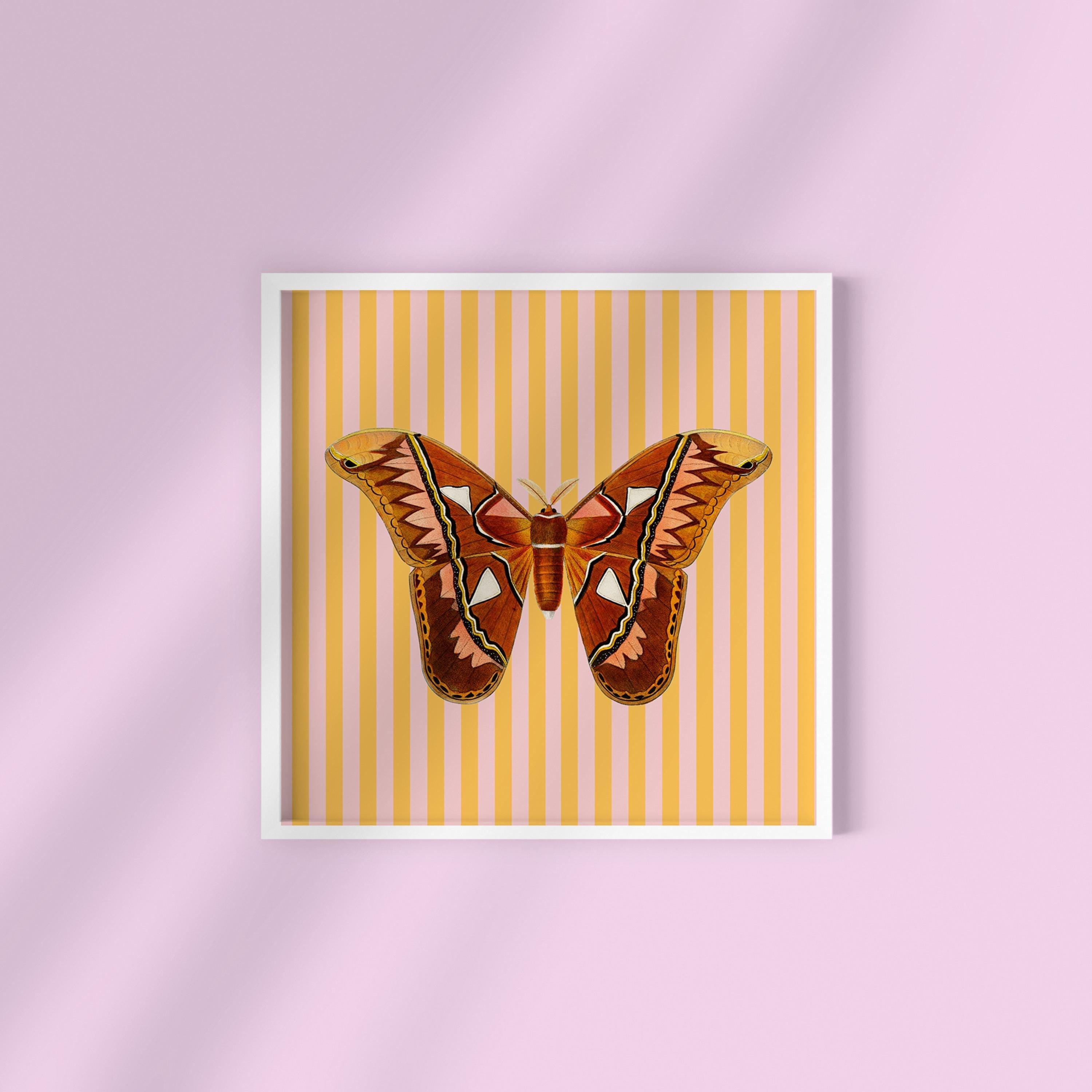Orange Stripe Butterfly Square Digital Art Print