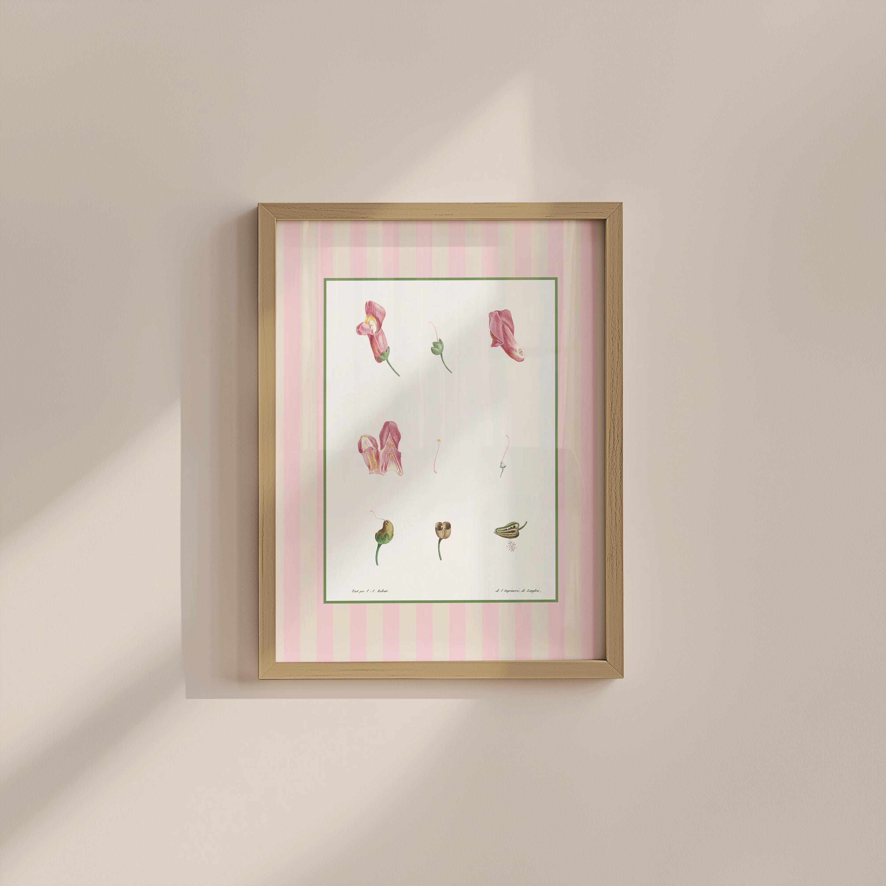 Flower Set Two Digital Art Print