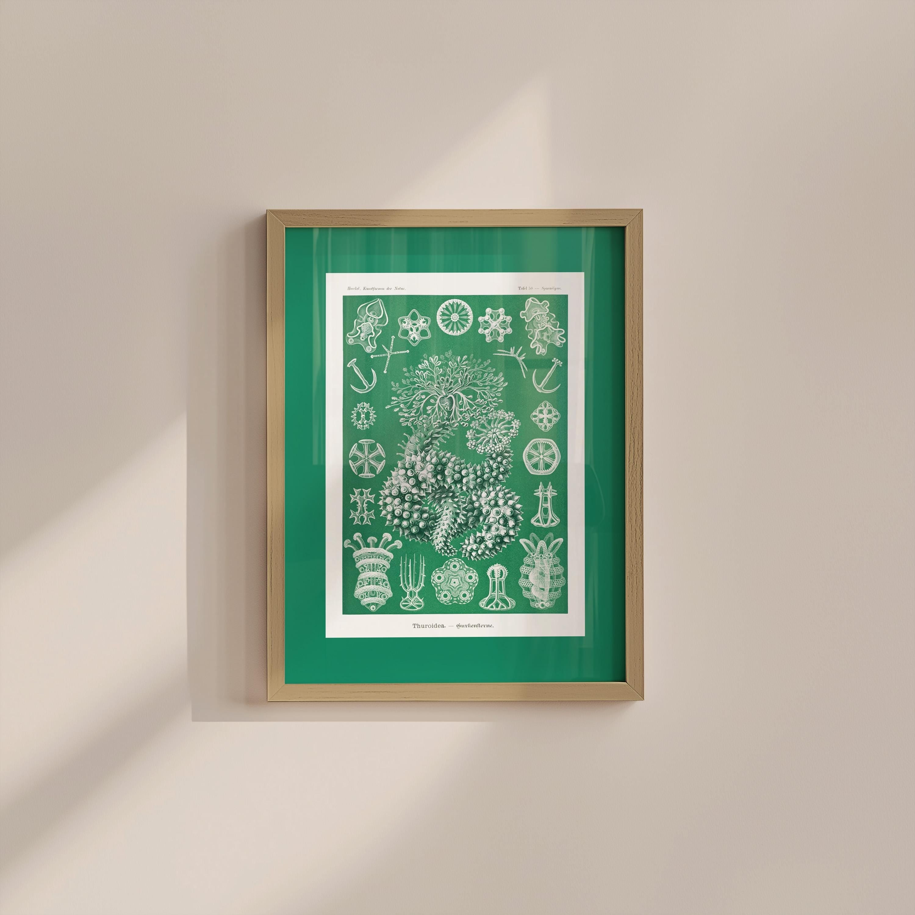 Sea Life Green Vintage Digital Art Print