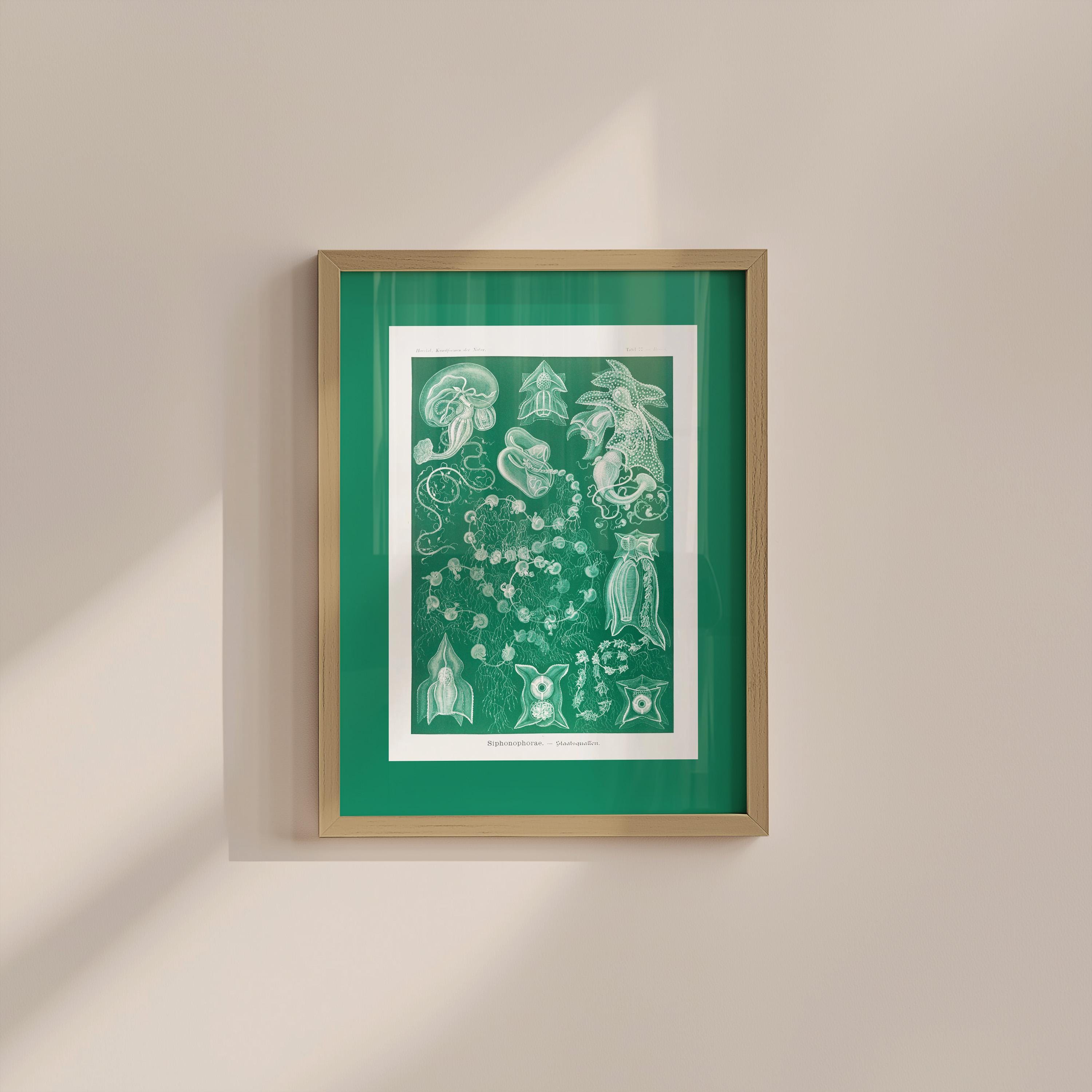 Green Sea Life Vintage Digital Art Print