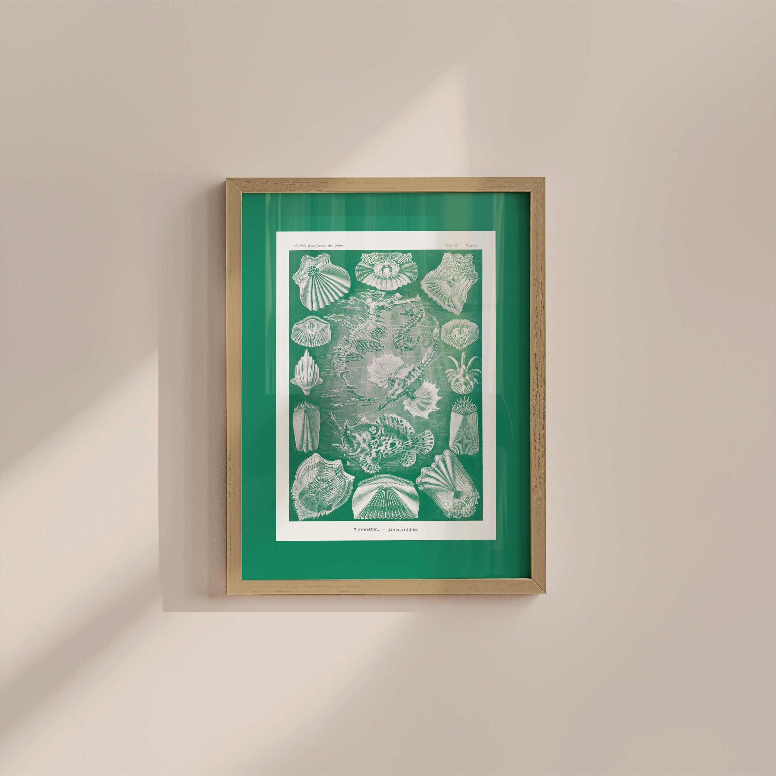 Green Sea Life Vintage Digital Art Print