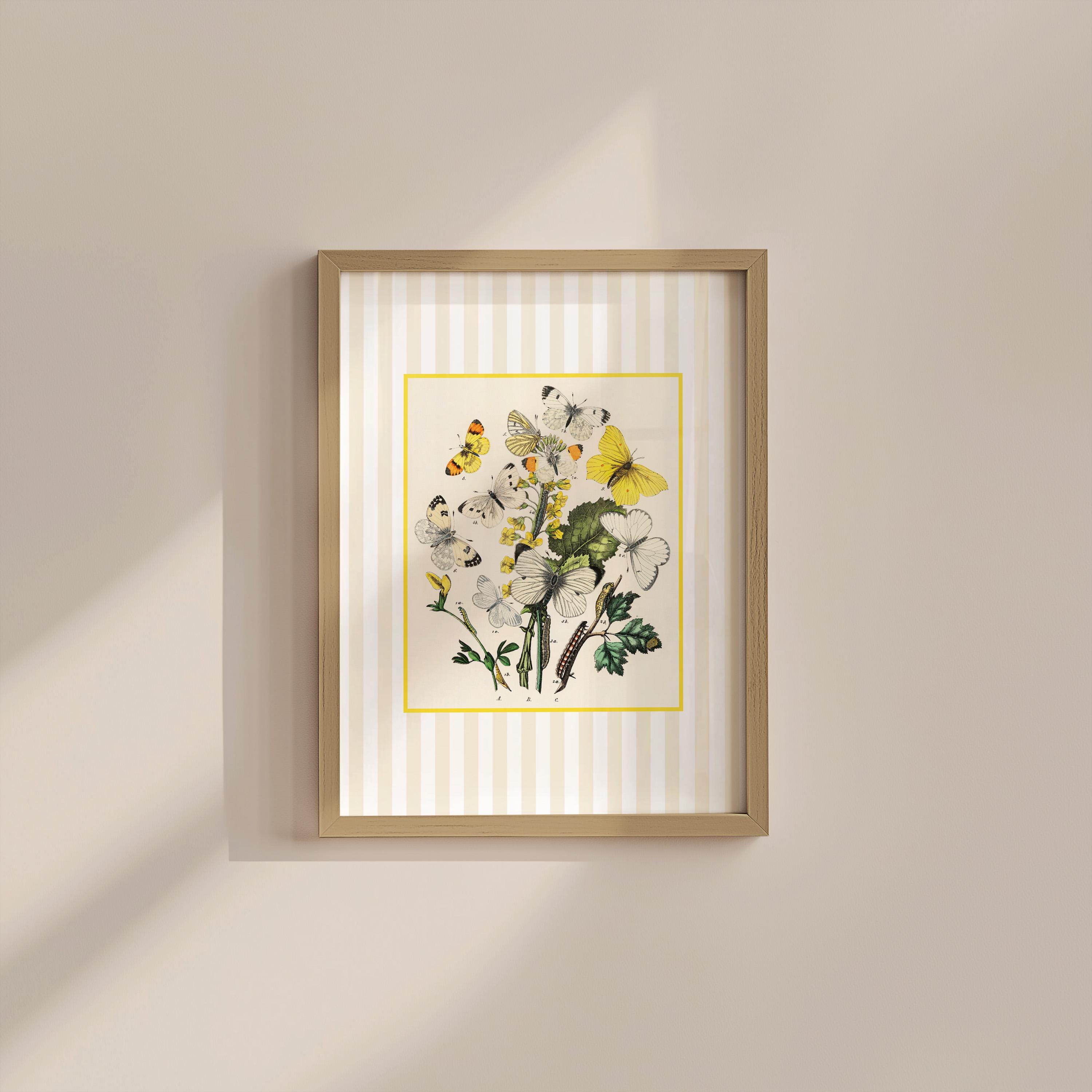 Neutral Butterfly Digital Art Print