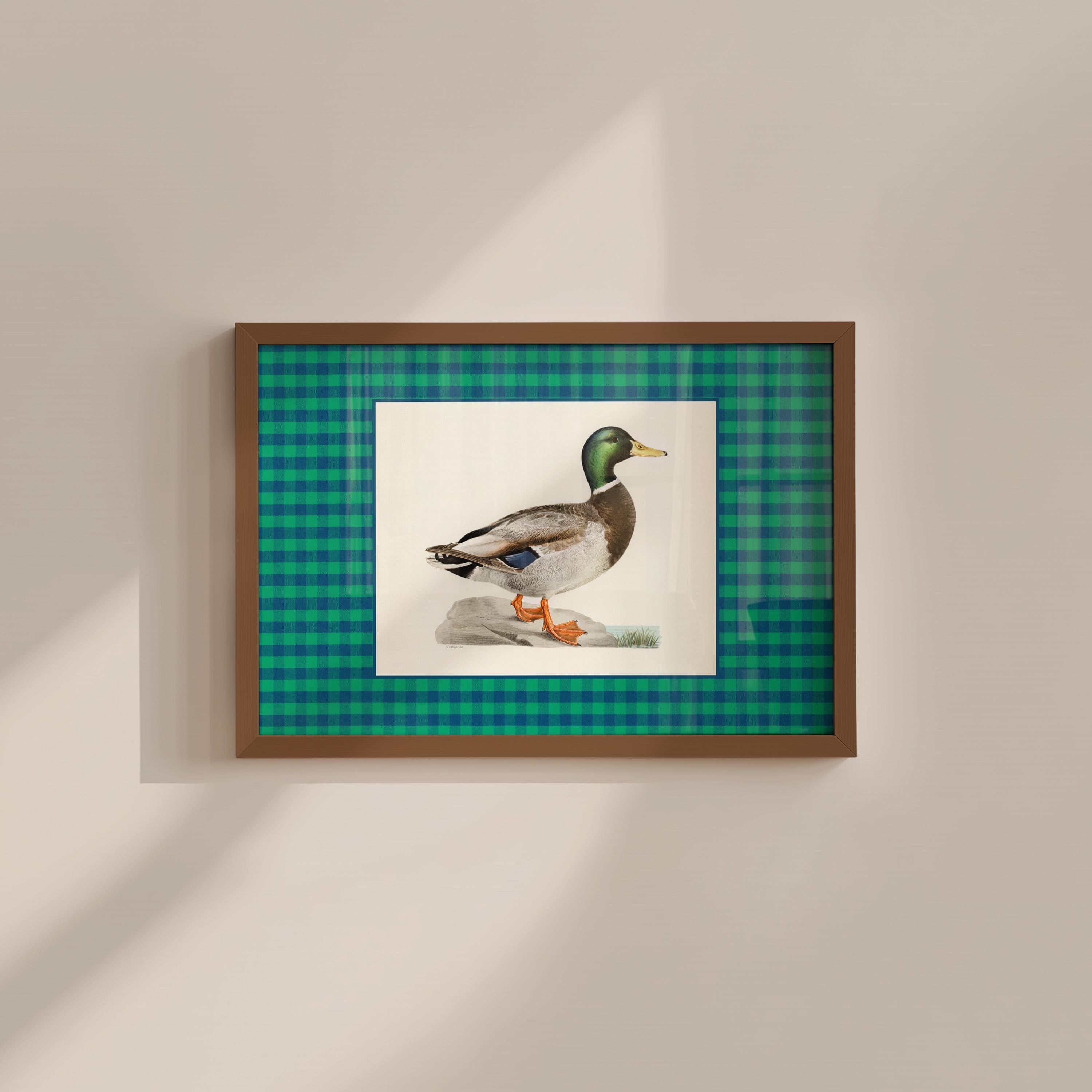 Green Gingham Duck Vintage Digital Art Print