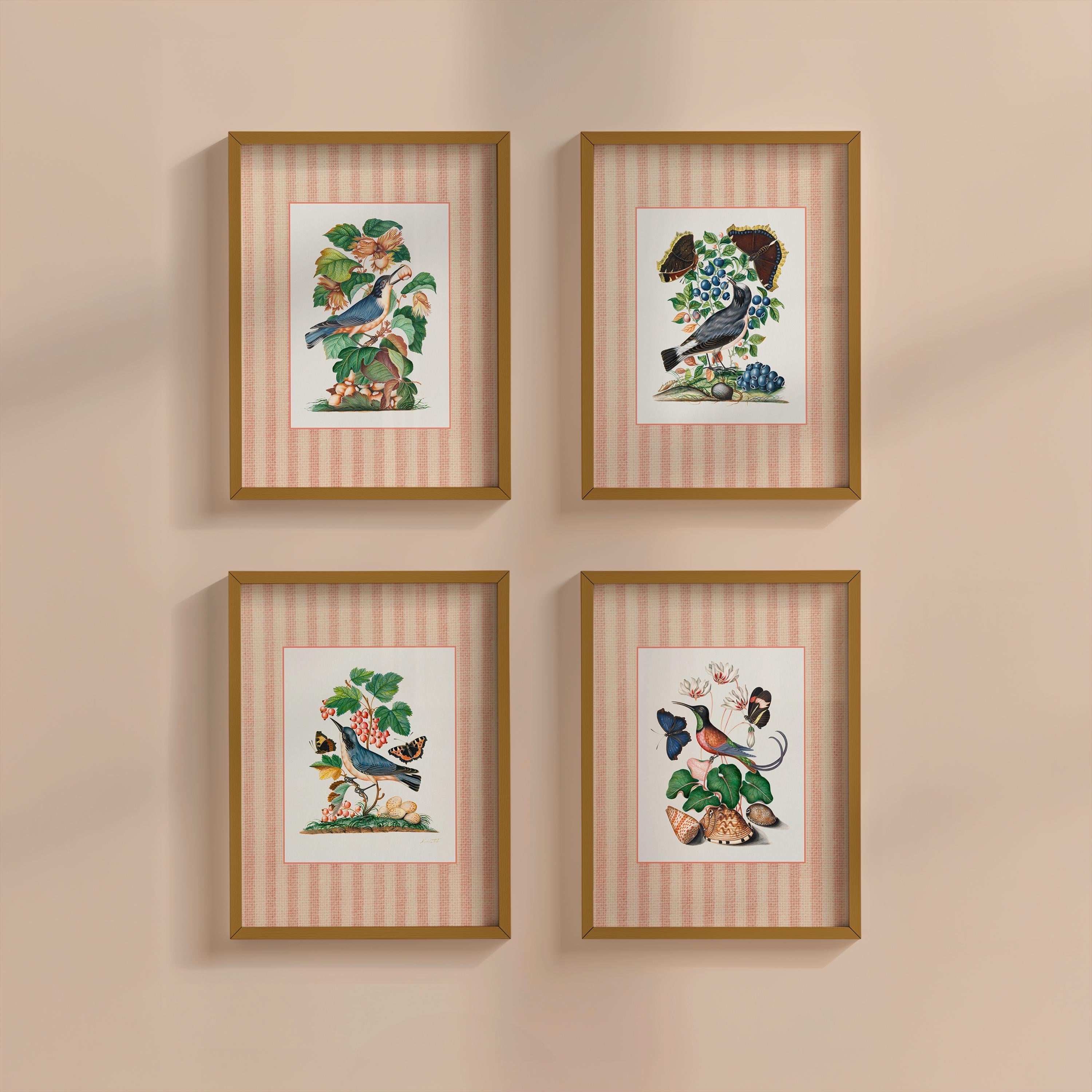 Gallery Wall Bundle of 4 Striped Bird Digital Art Prints