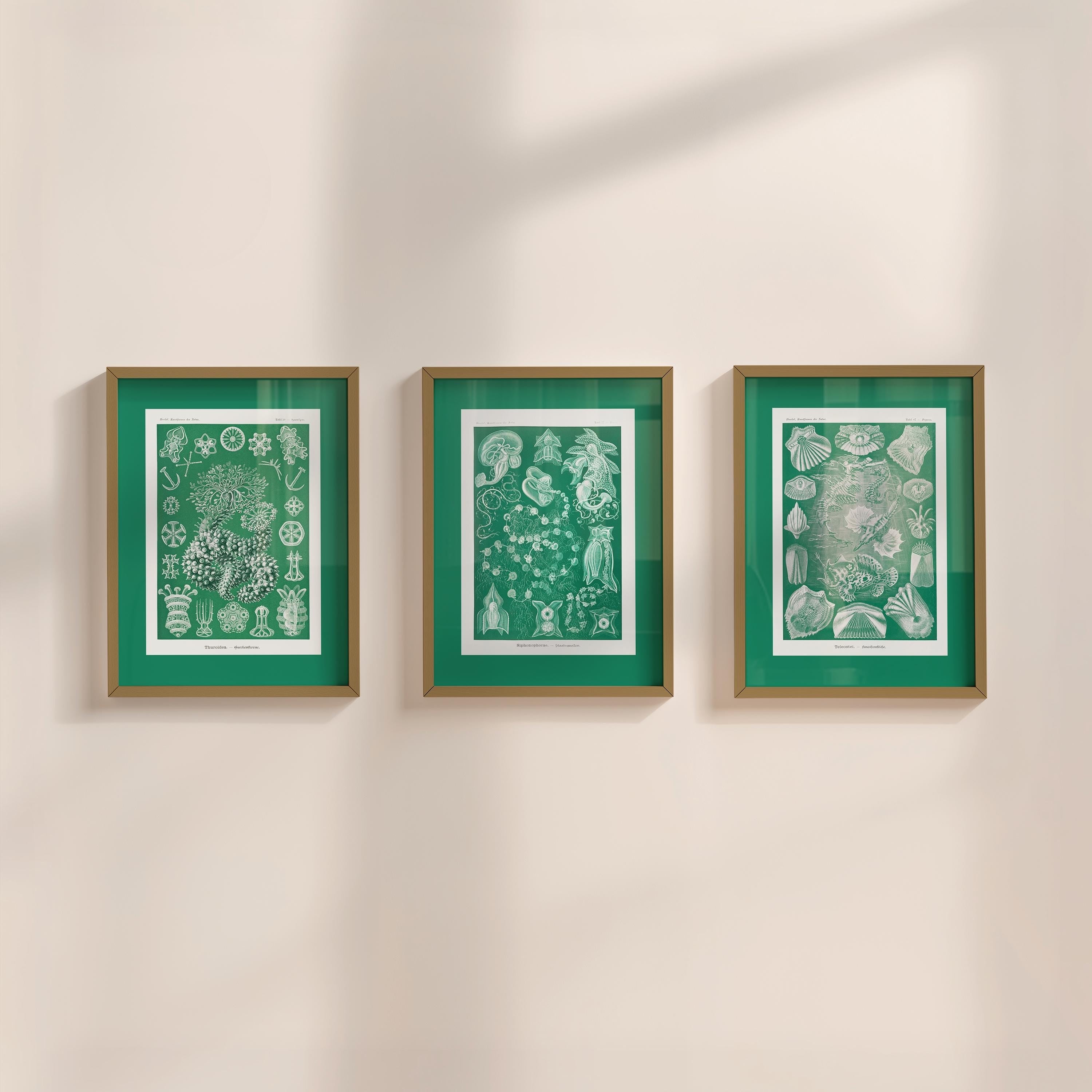 Gallery Wall Bundle of 3 Green Natutical Digital Art Prints