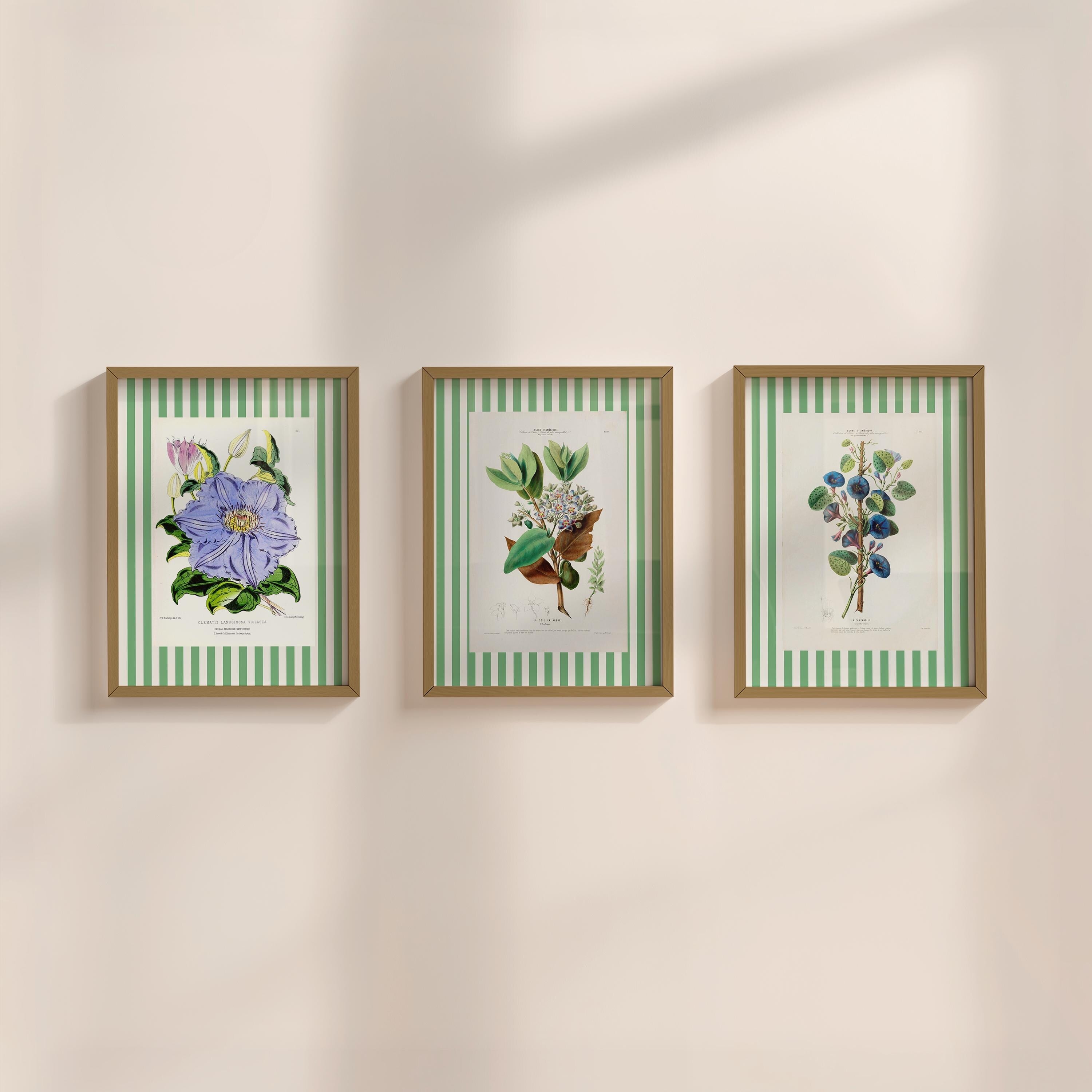 Gallery Wall Bundle of 3 Green Floral Digital Art Prints