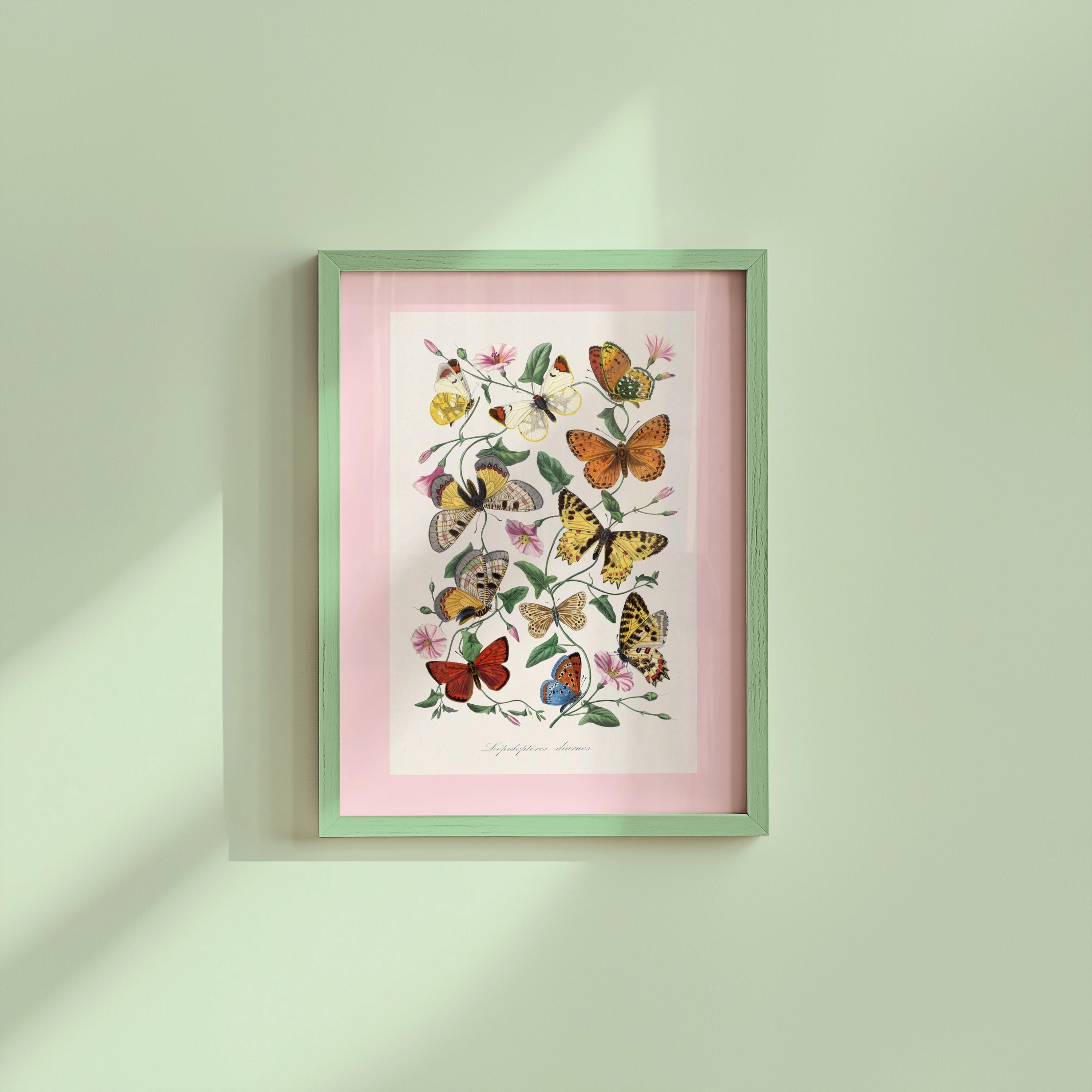 Boho Butterfly Print, Butterfly Wall Art, Antique Butterfly Drawing, Vintage Butterfly Printable, Butterfly Wall Decor, Retro Artwork Print