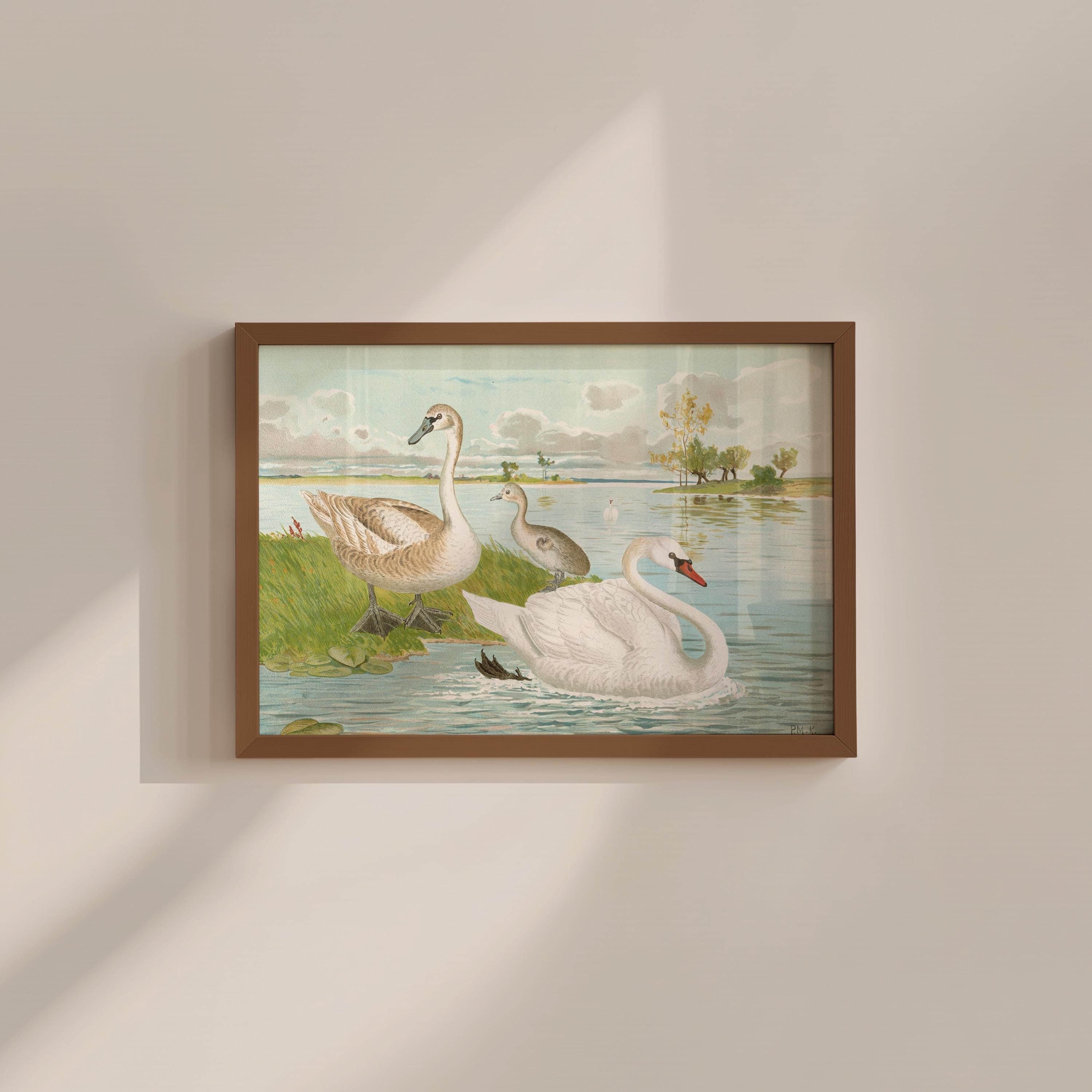 Vintage Swan Painting Digital Art Print