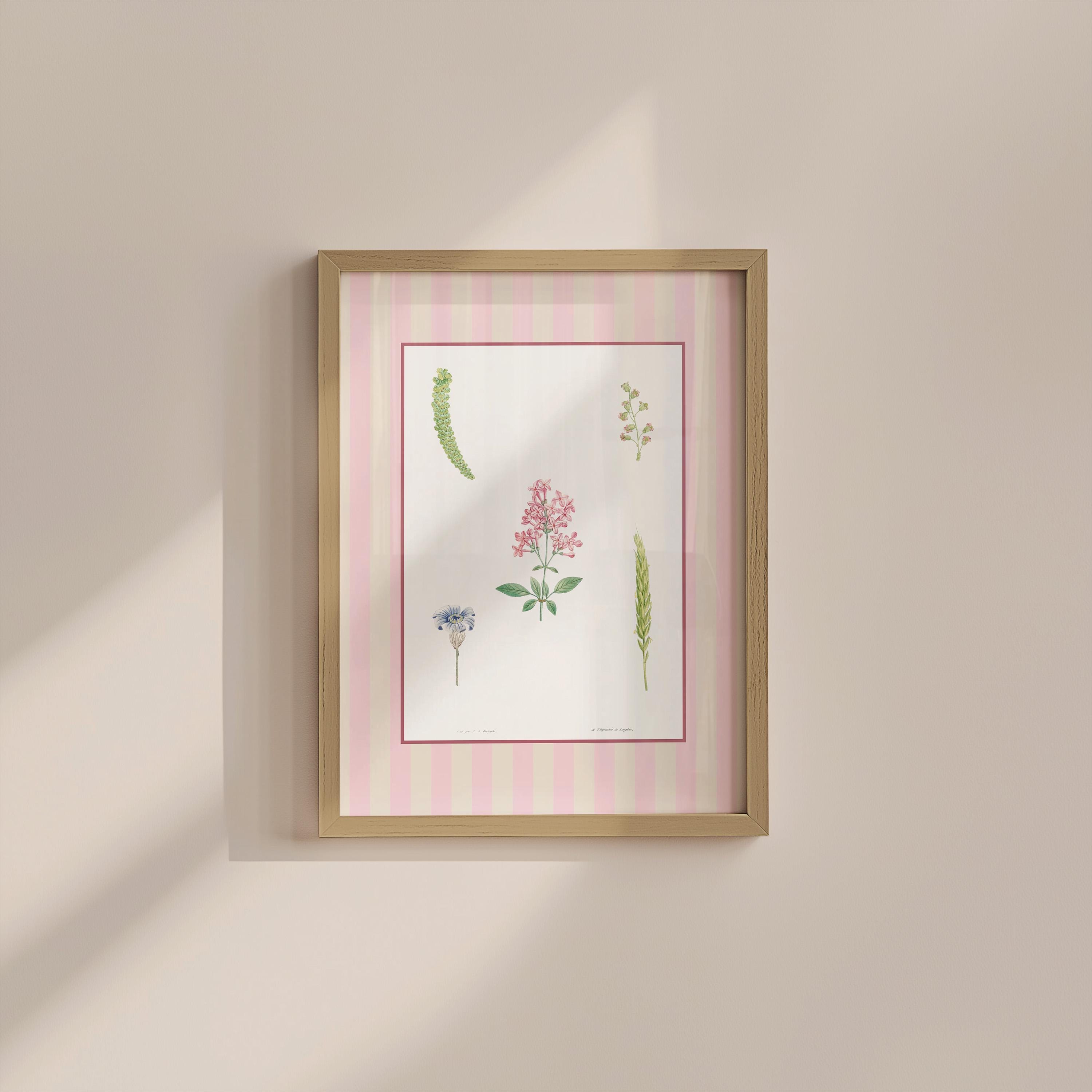 Flower Set Four Digital Art Print
