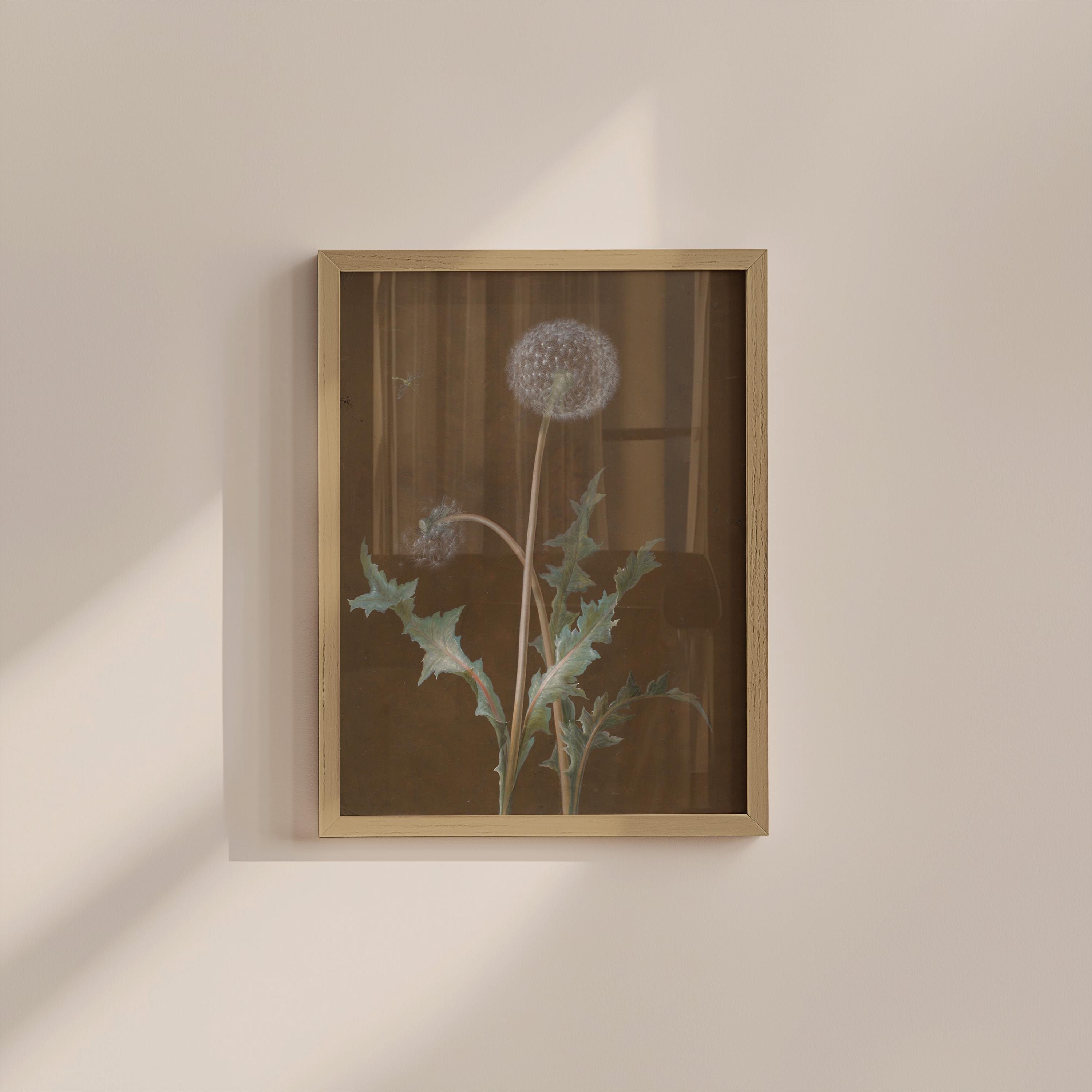 Dandelion Vintage Digital Art Print
