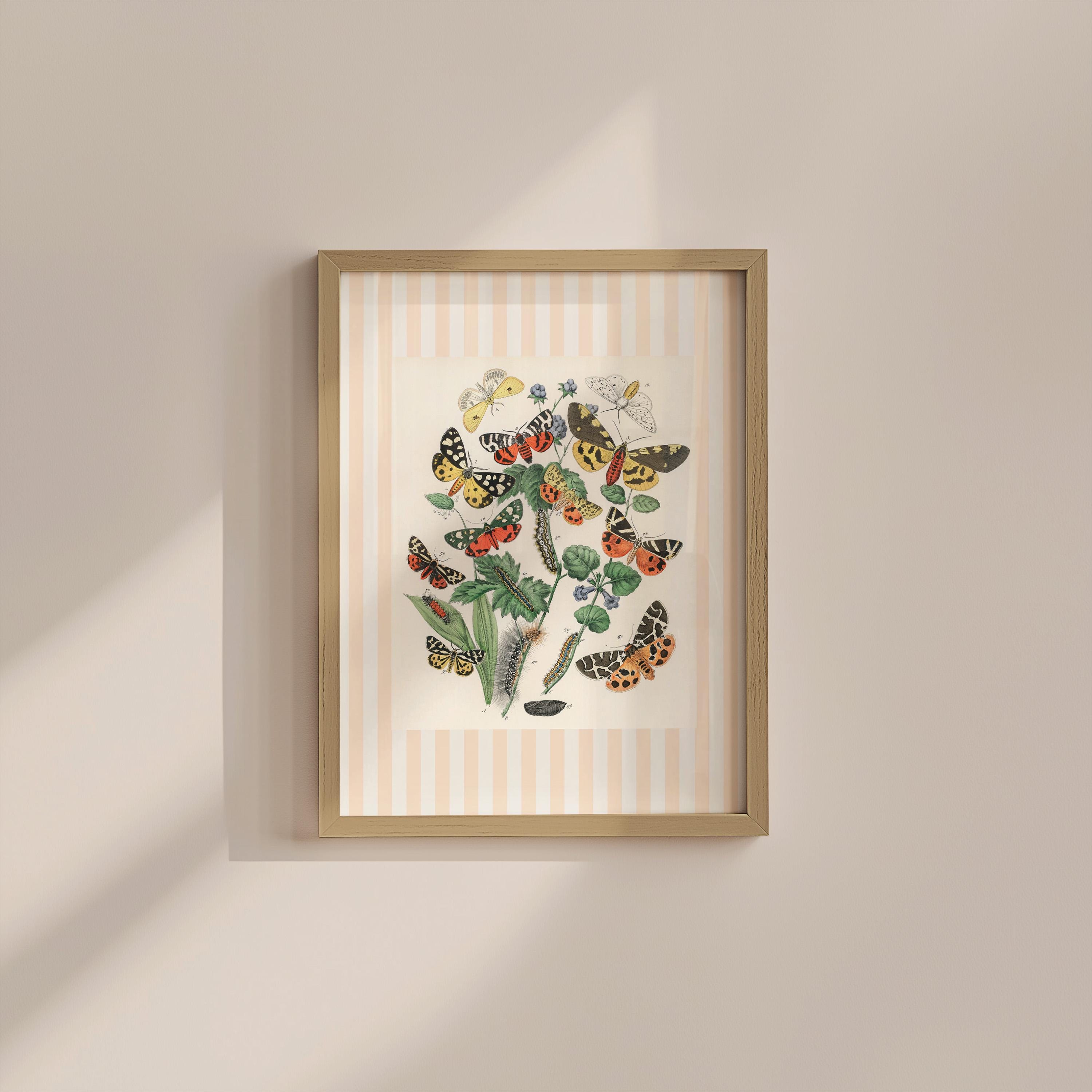 Neutral Vintage Butterfly Digital Art Print