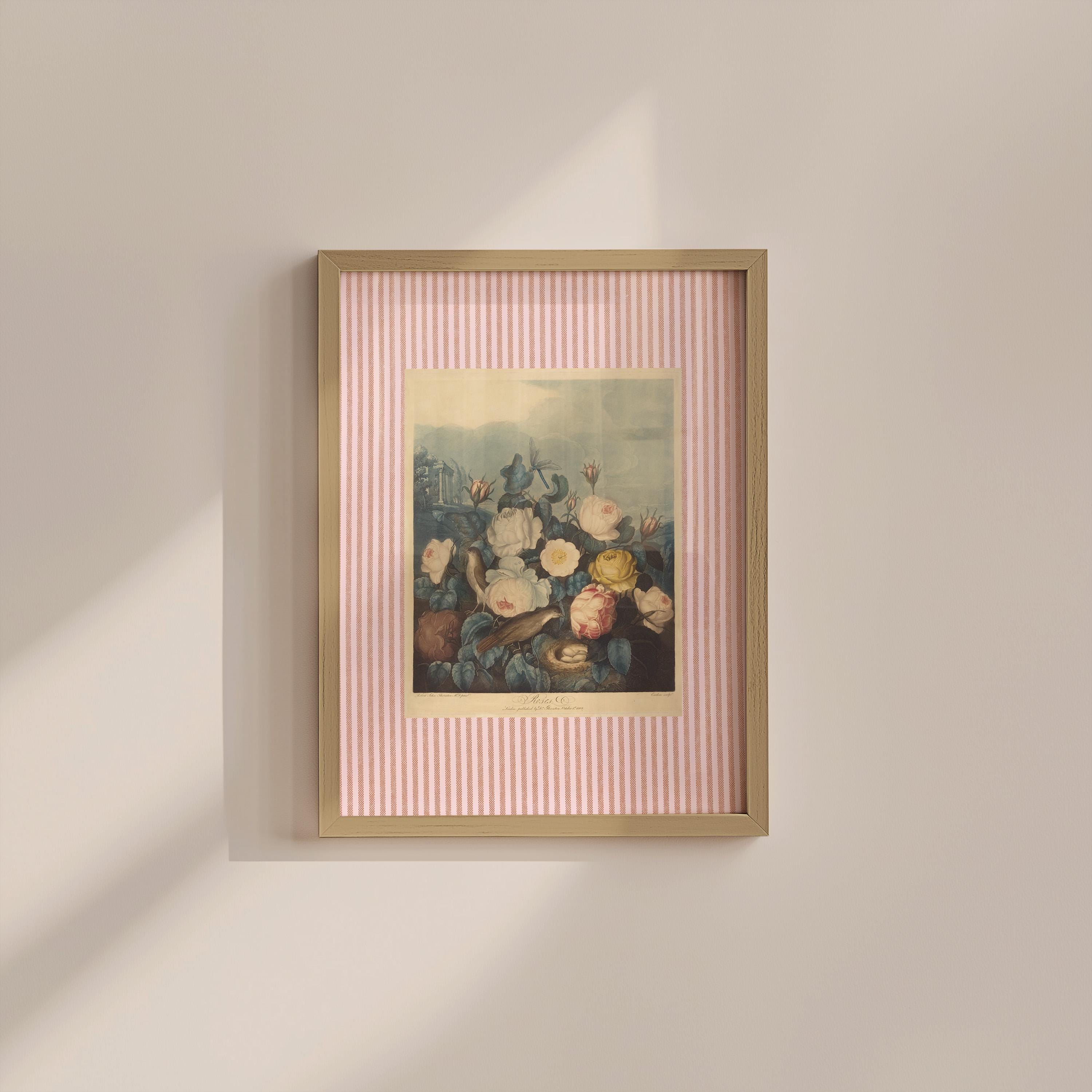 Pink Vintage Birds Digital Art Print