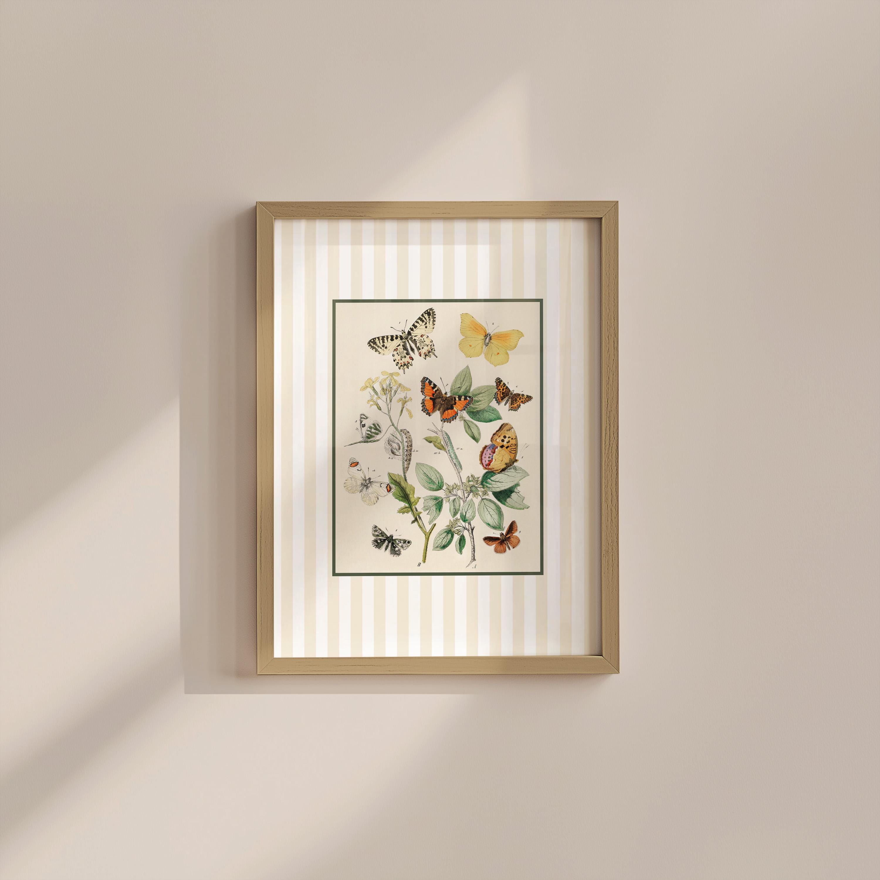 Neutral Butterfly Digital Art Print
