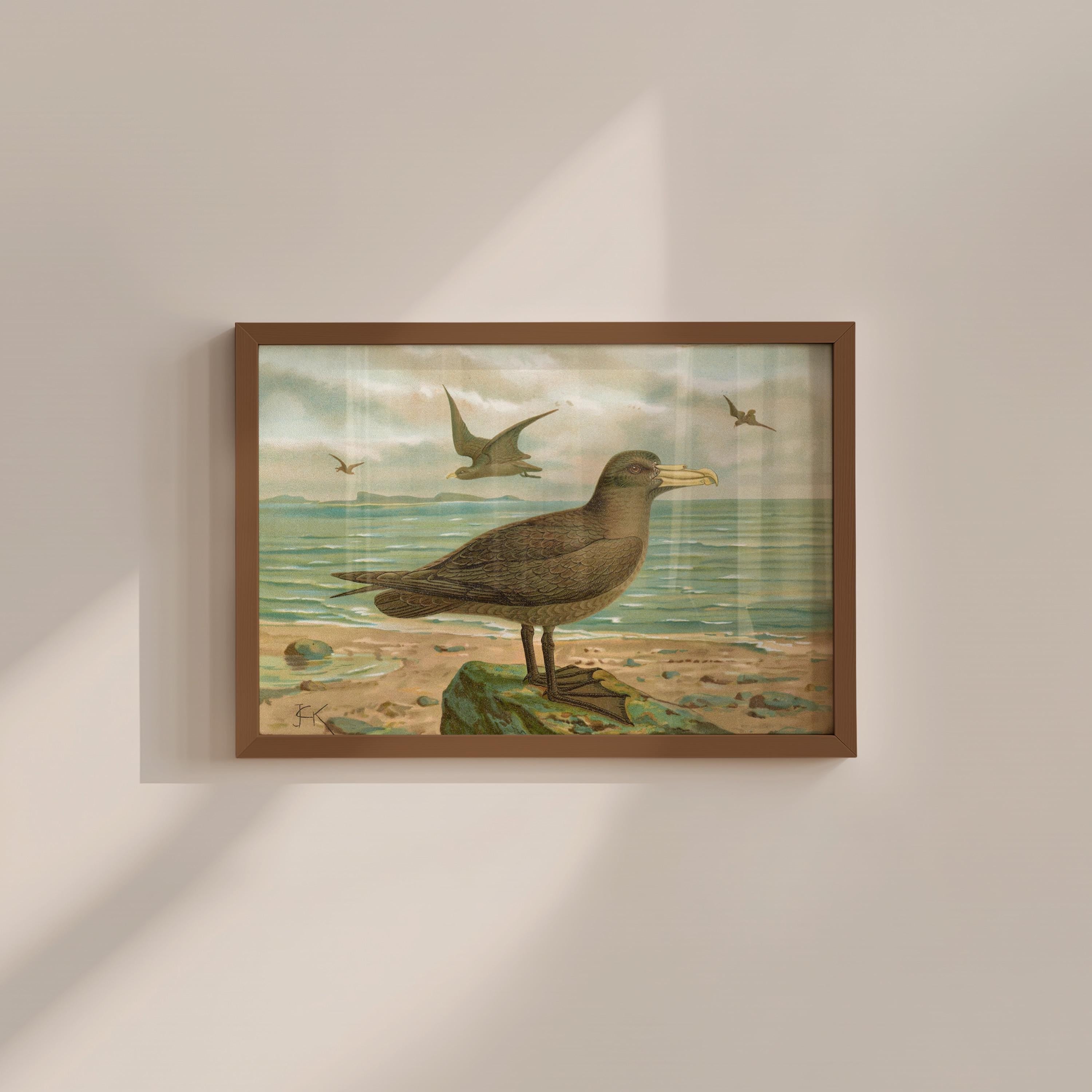 Beach Bird Vintage Digital Art Print